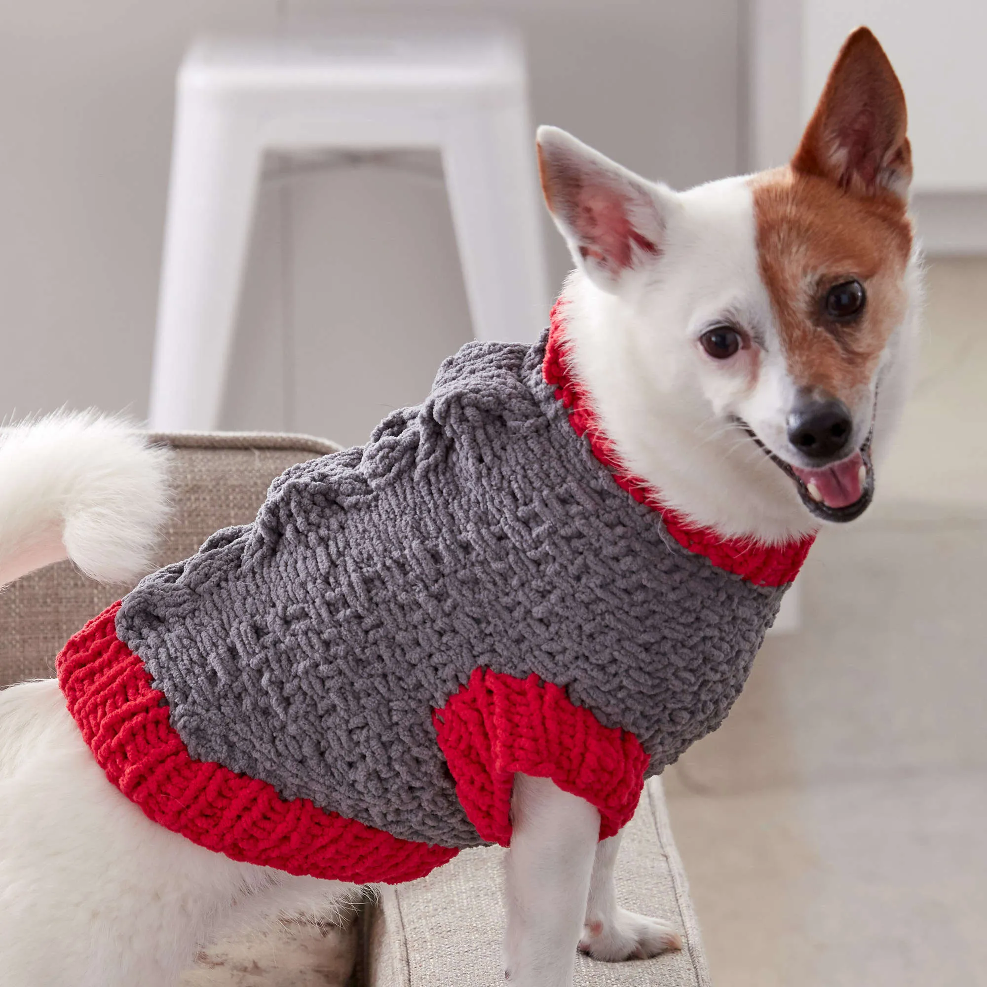 Bernat Bones And Biscuits Knit Dog Coat