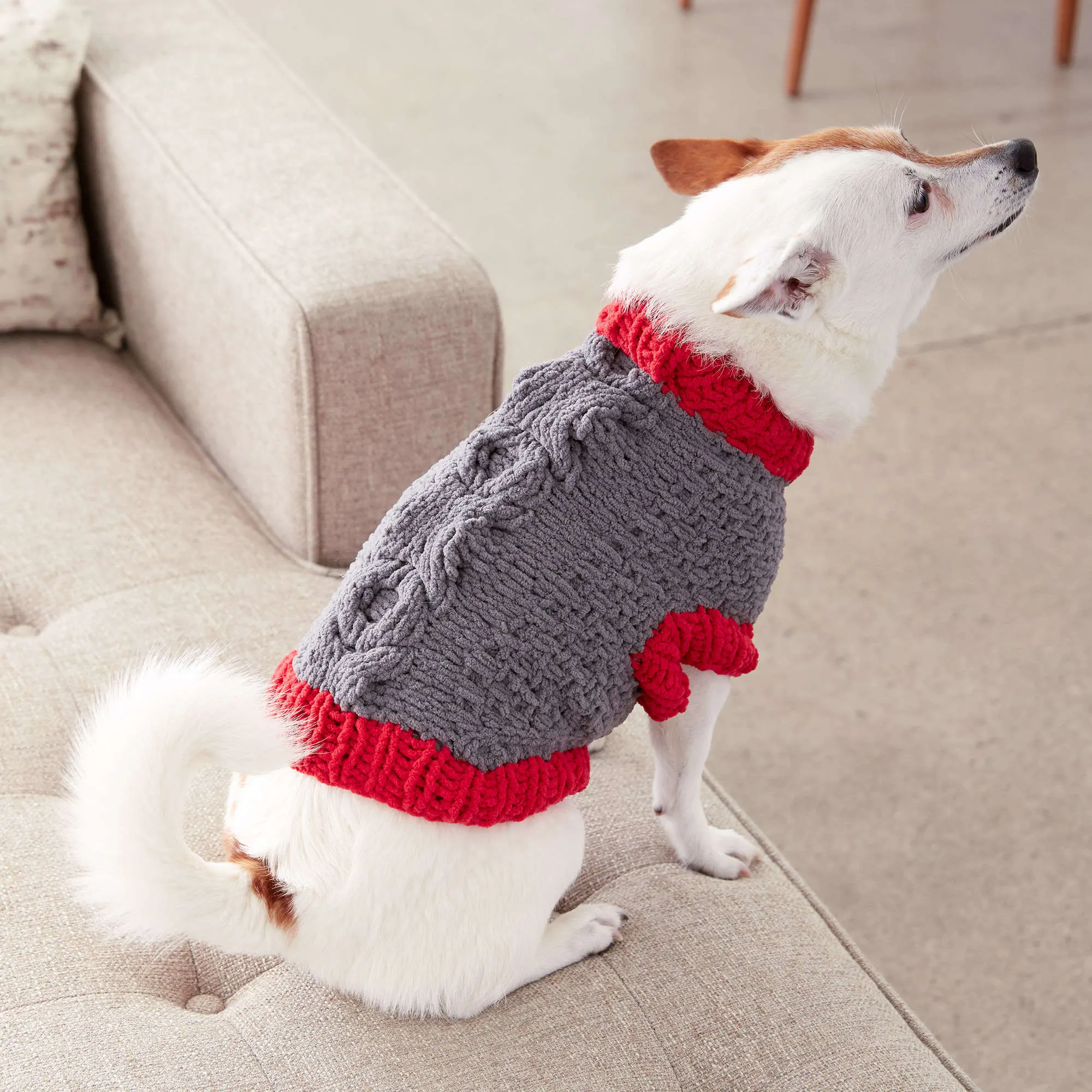 Bernat Bones And Biscuits Knit Dog Coat