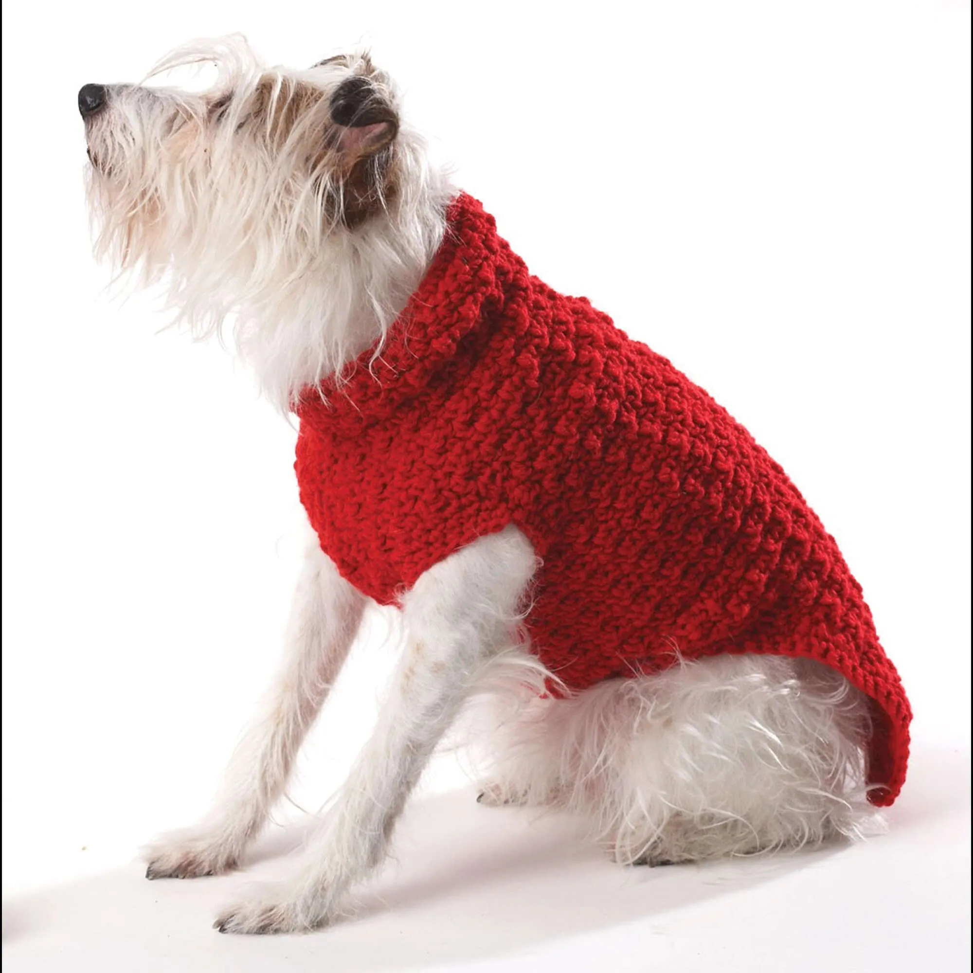 Bernat Crochet Dog Coat