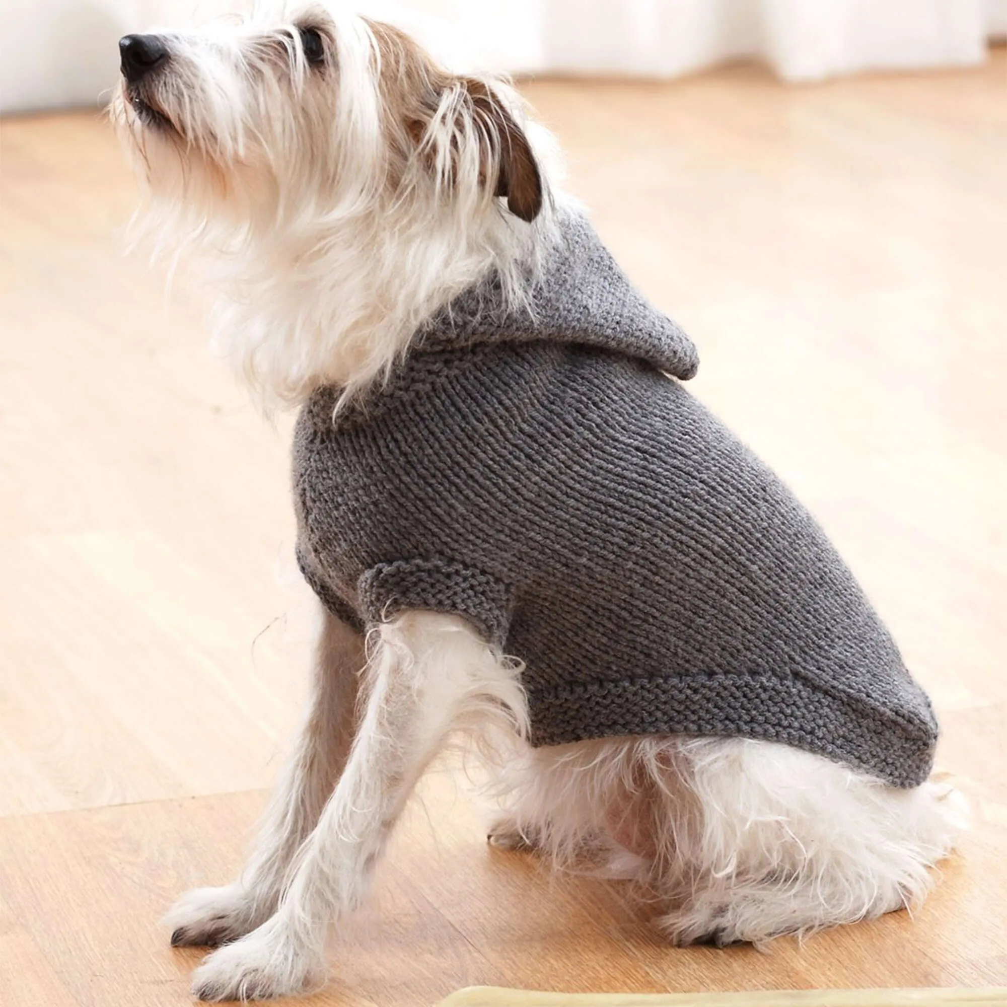 Bernat Knit Hoodie Dog Coat