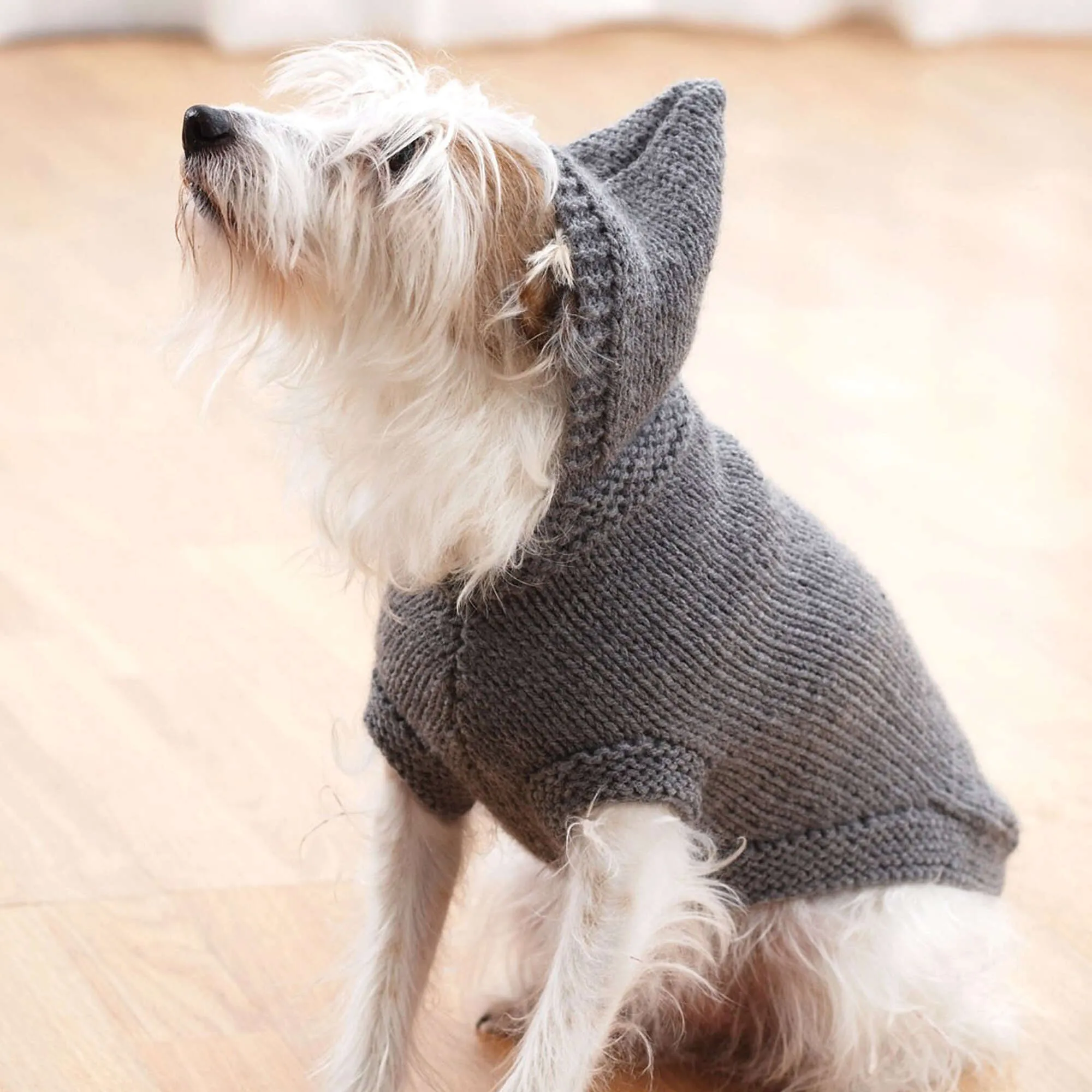 Bernat Knit Hoodie Dog Coat