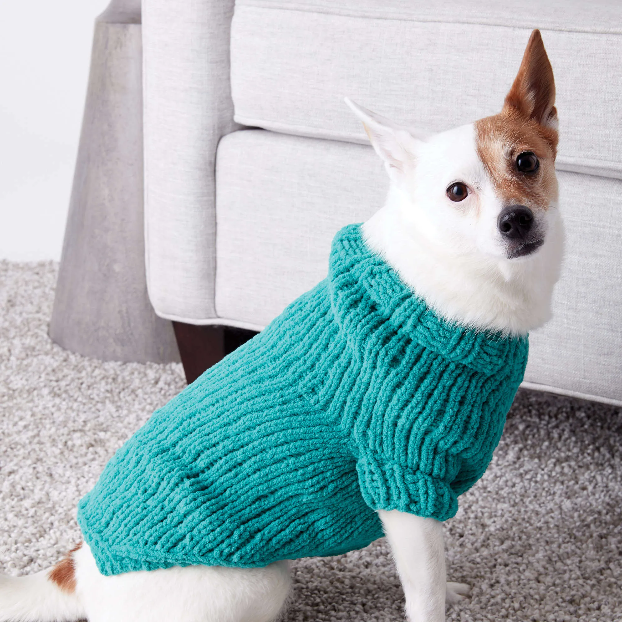 Bernat Pet Knit Dog Coat