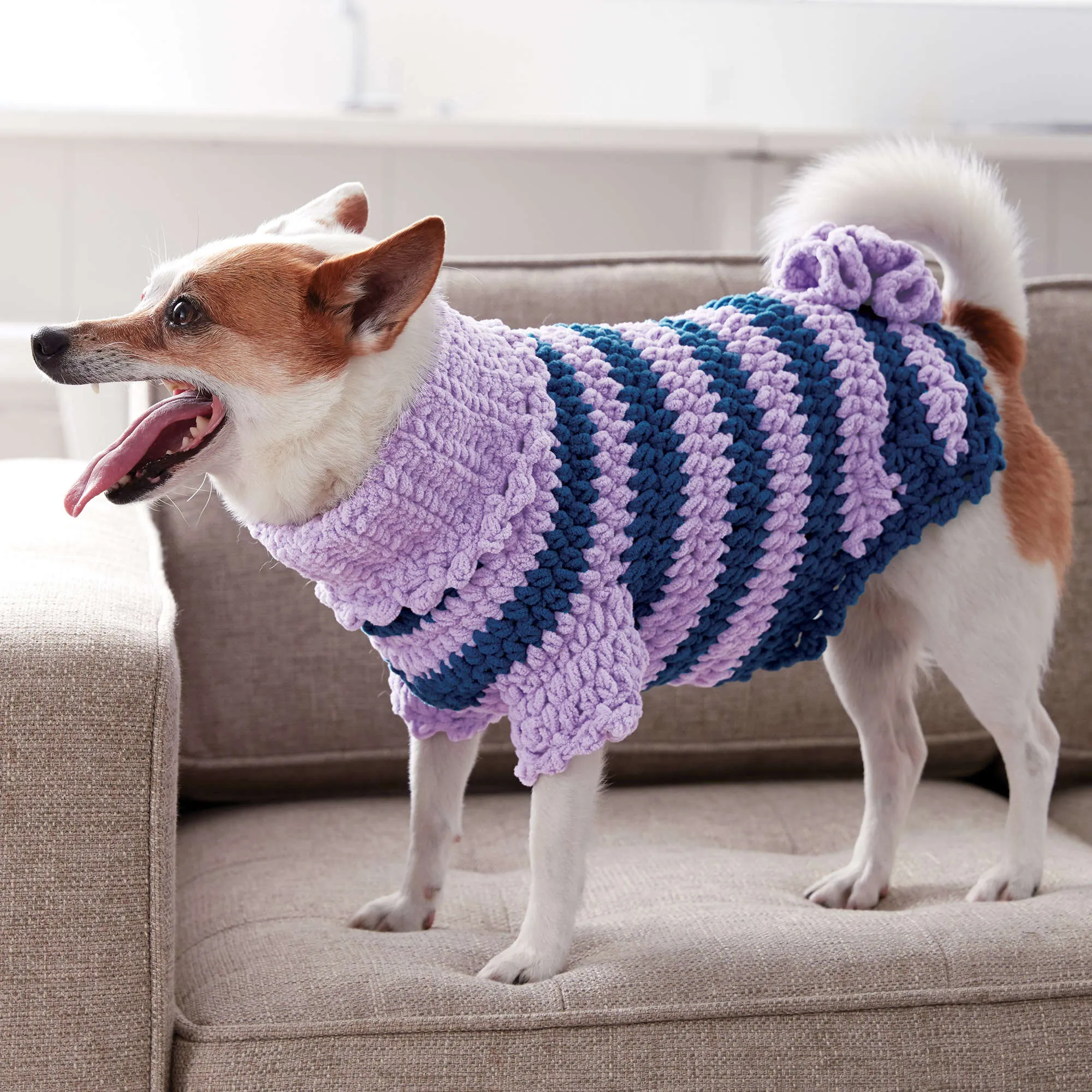 Bernat Posh Pooch Crochet Dog Coat