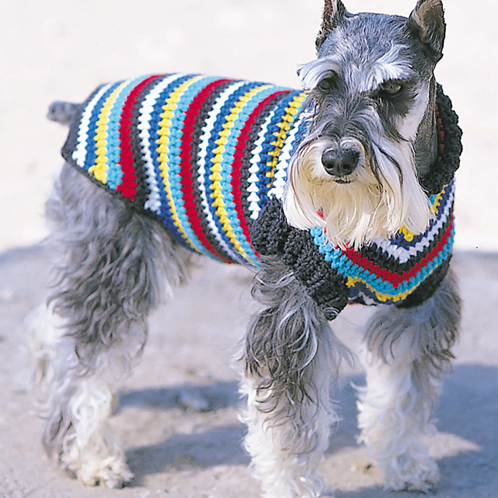 Bernat Striped Crochet Dog Coat