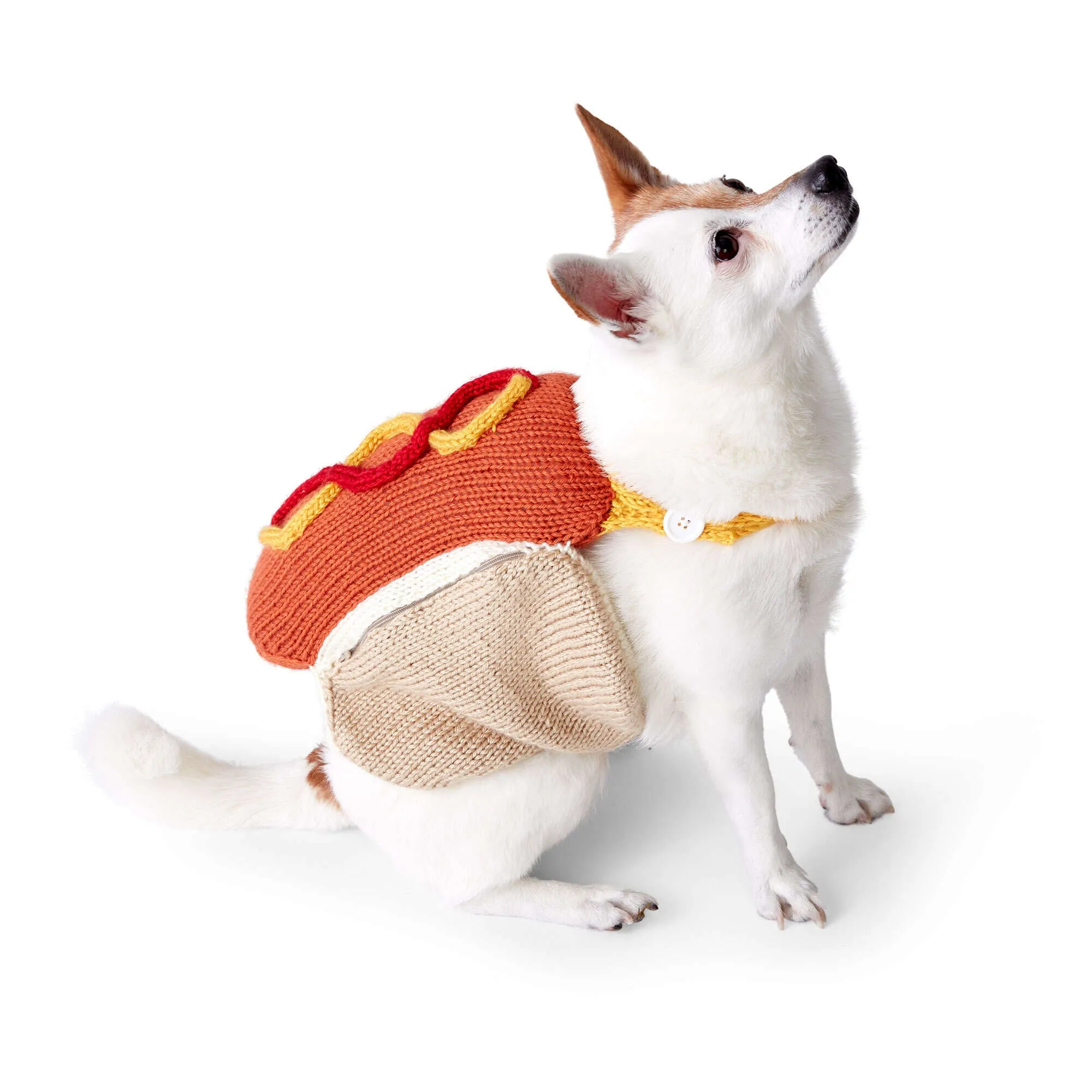 Caron Knit Hot Diggety Dog Coat