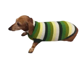 Dachshund clothes striped sweater