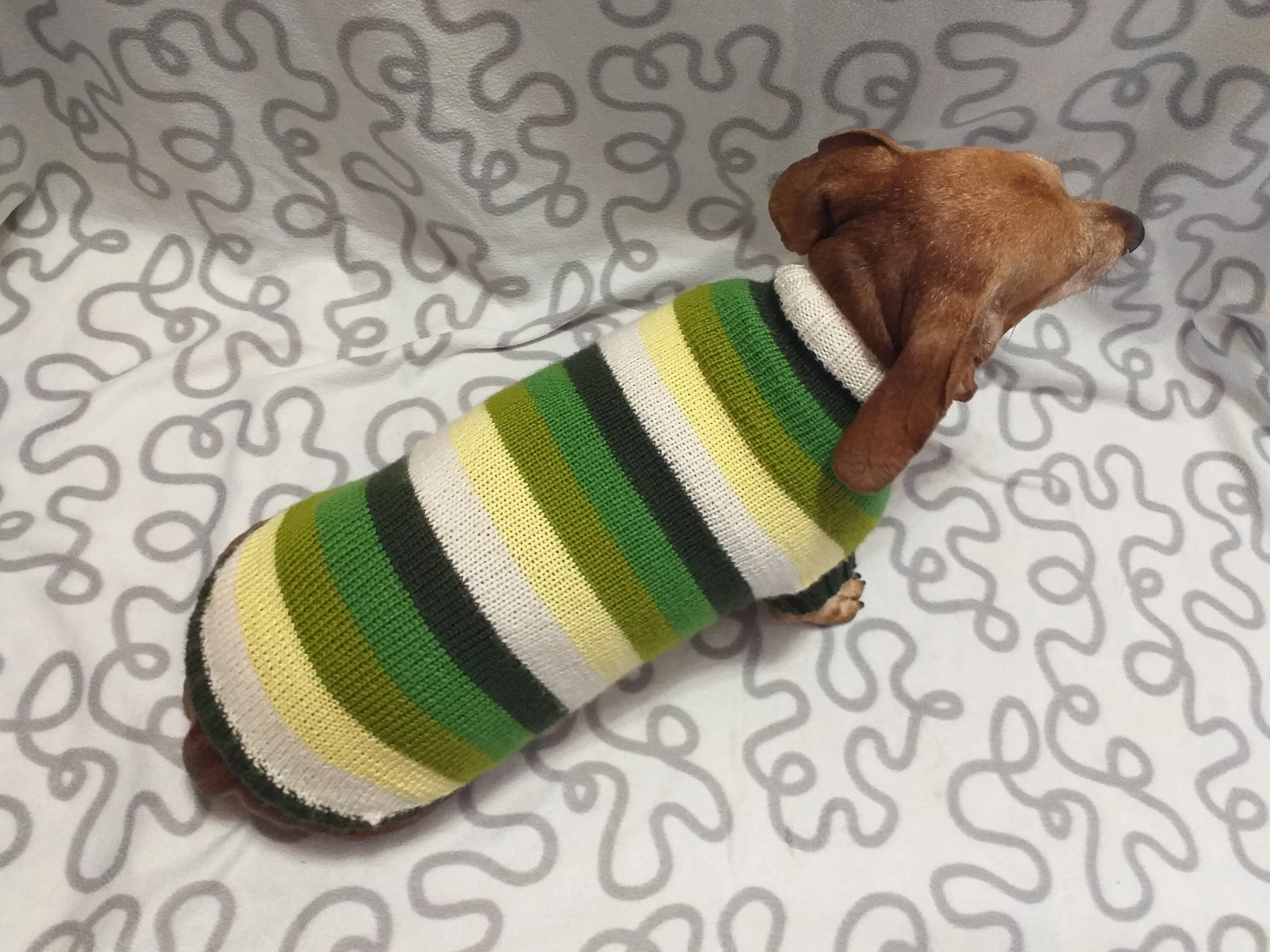 Dachshund clothes striped sweater