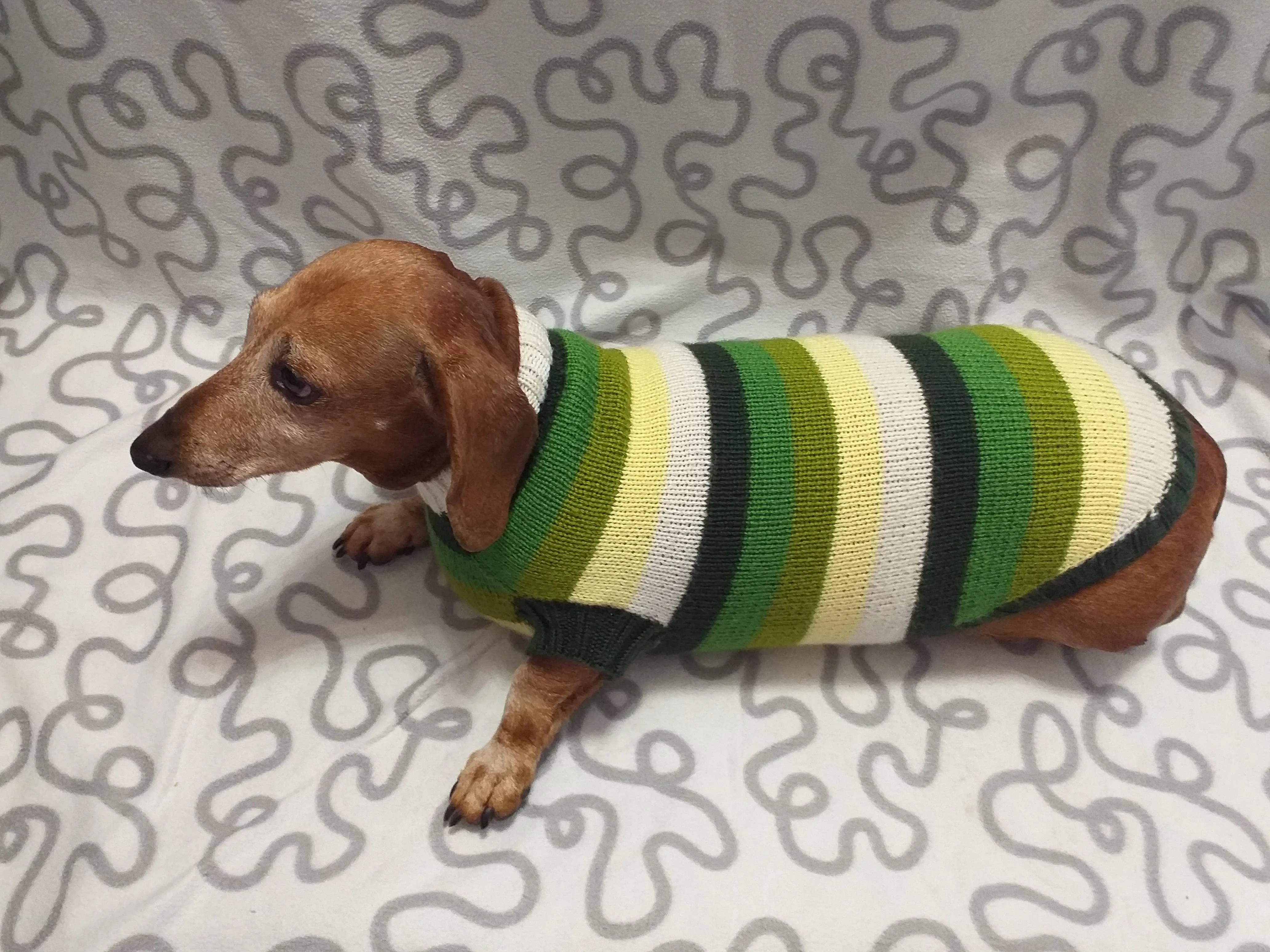 Dachshund clothes striped sweater