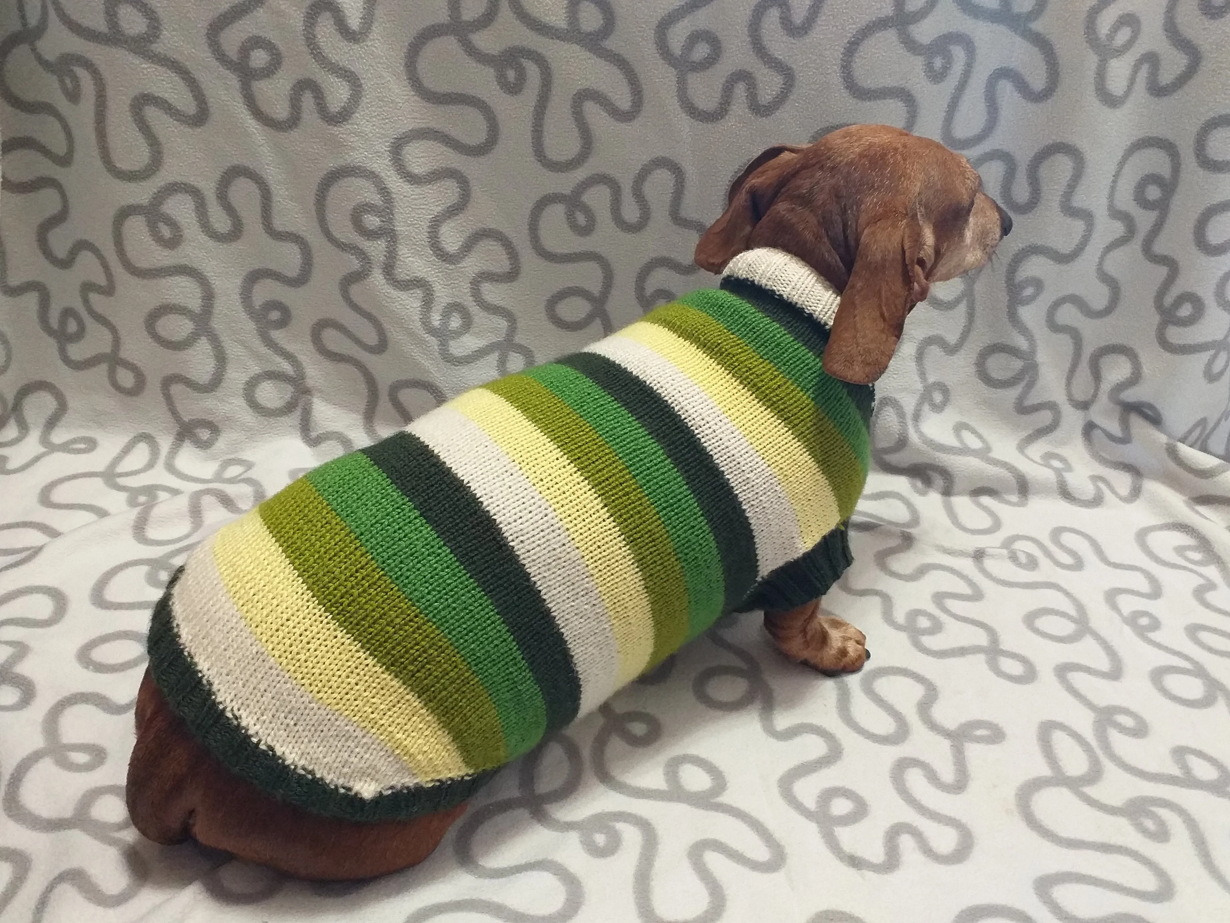 Dachshund clothes striped sweater