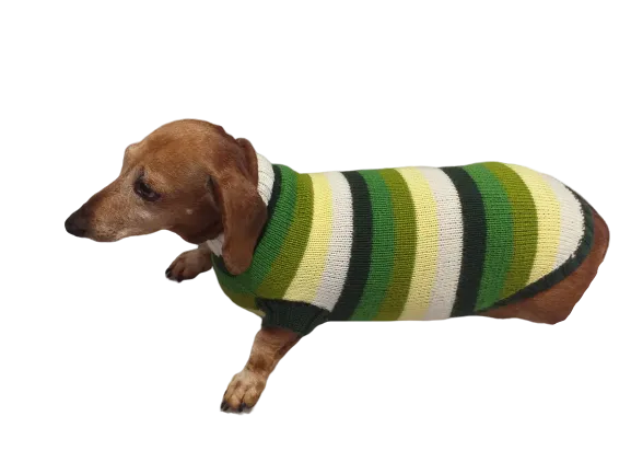 Dachshund clothes striped sweater