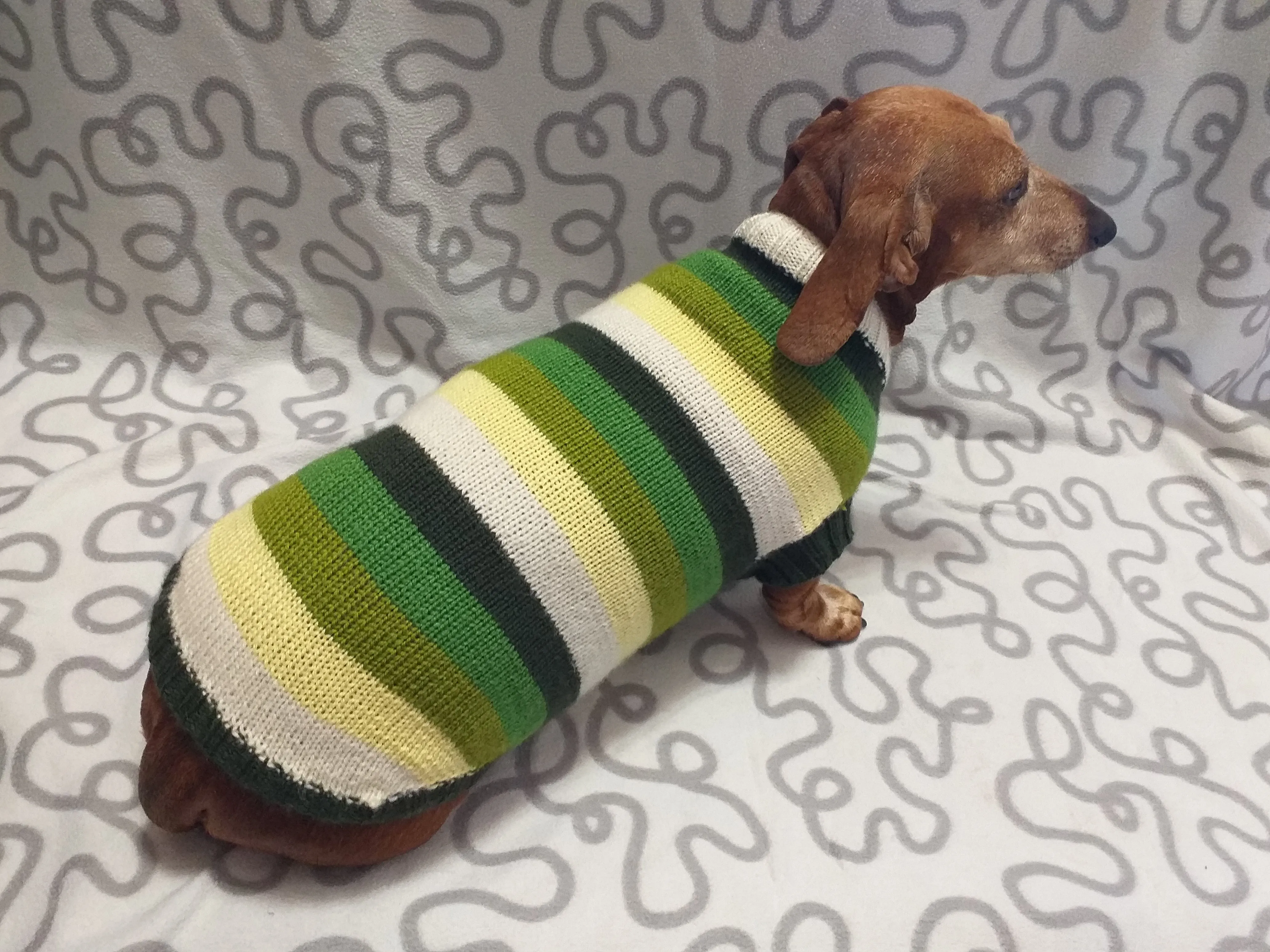 Dachshund clothes striped sweater