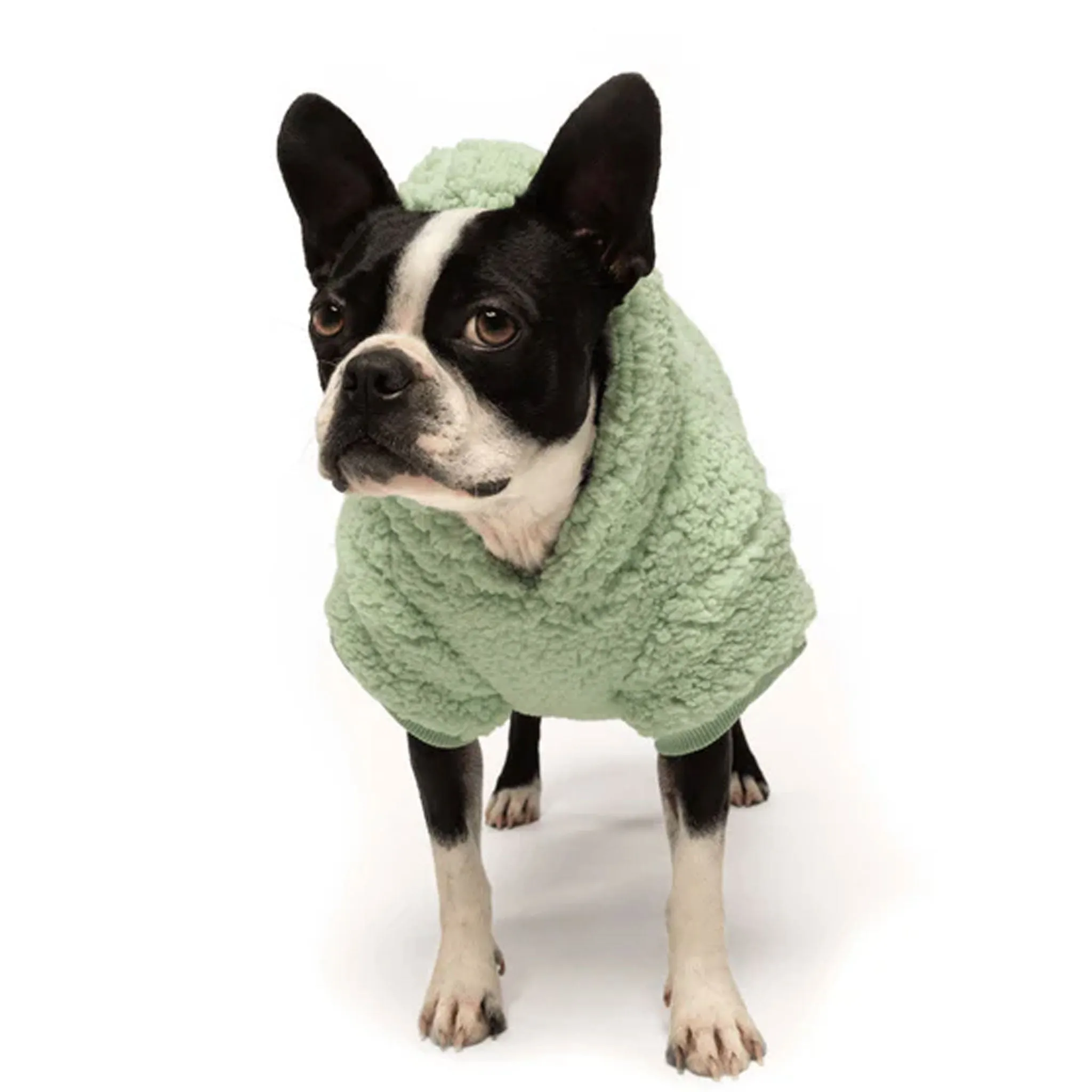 FabDog Sherpa Hoodie - Seafoam