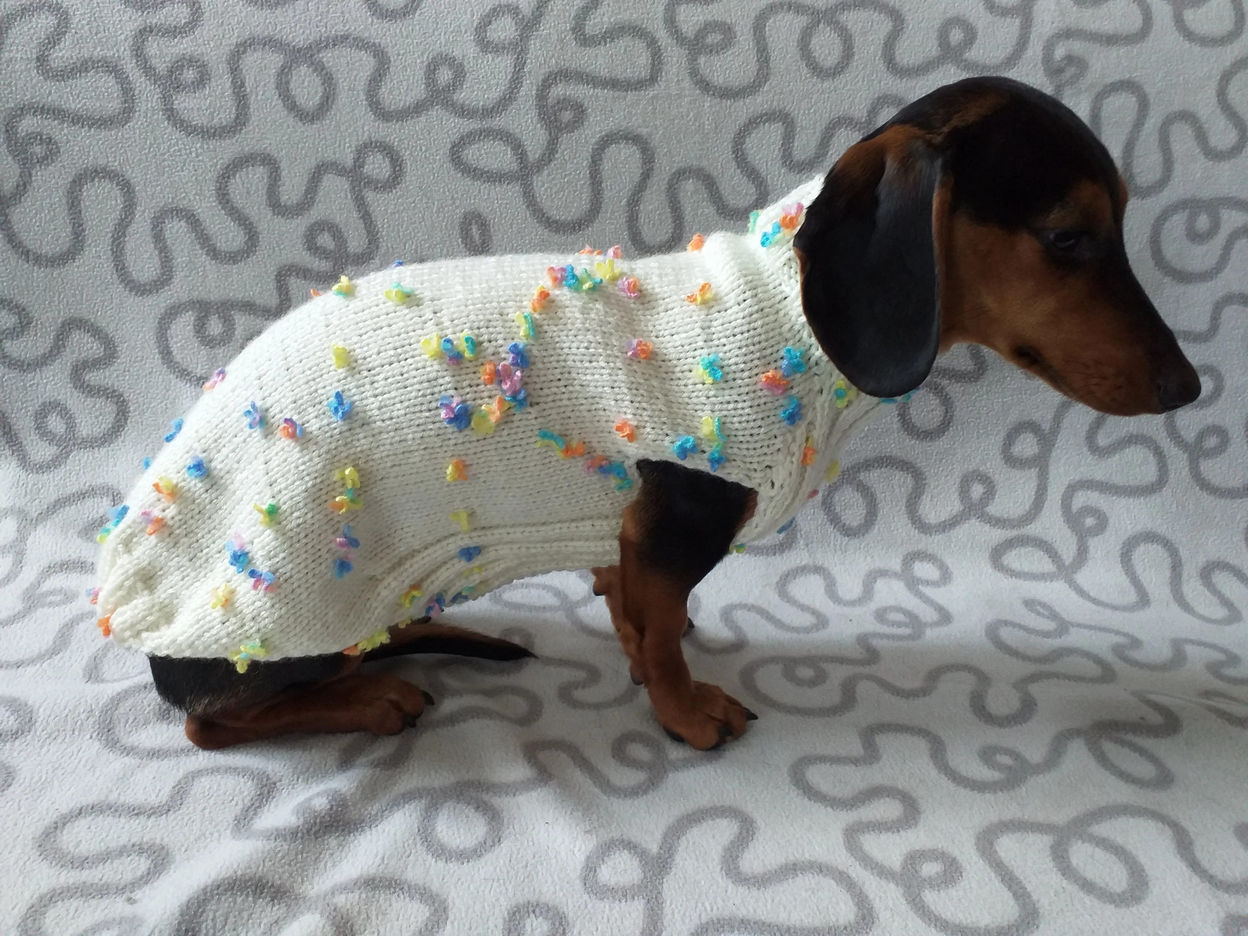 Floral Mini Dachshund Jumper, Dog Coat, Clothes Dog Sweater