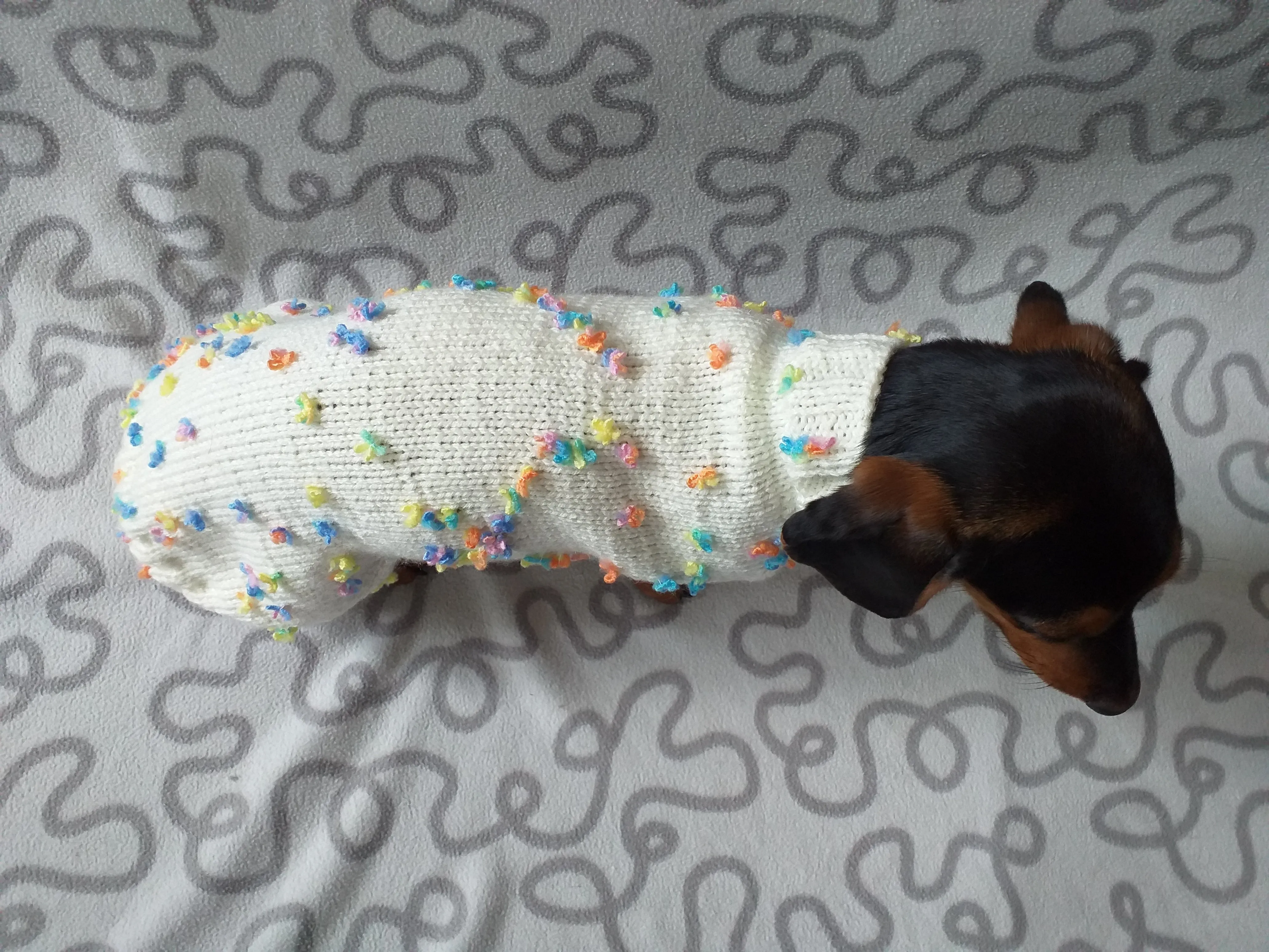 Floral Mini Dachshund Jumper, Dog Coat, Clothes Dog Sweater