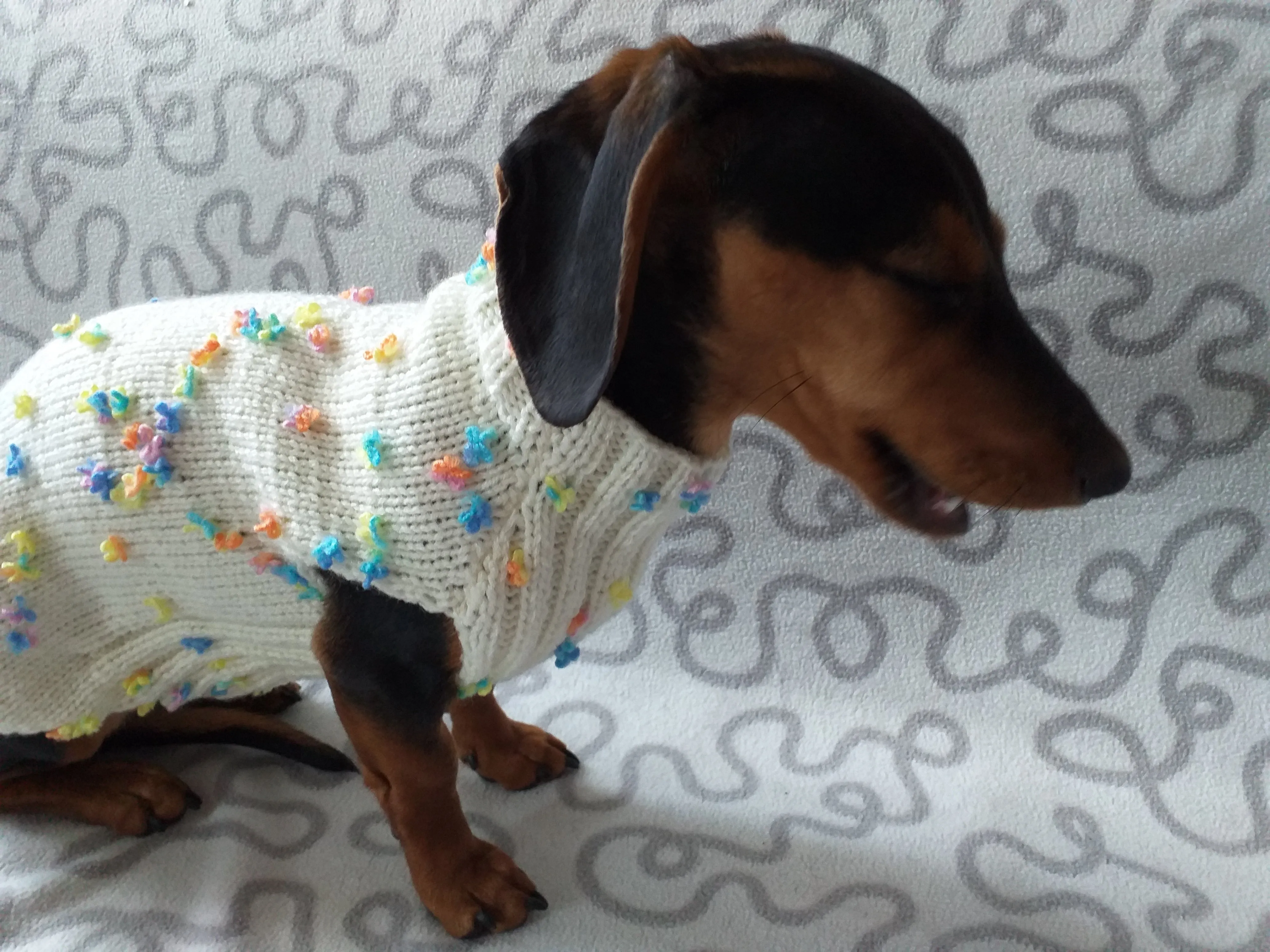 Floral Mini Dachshund Jumper, Dog Coat, Clothes Dog Sweater