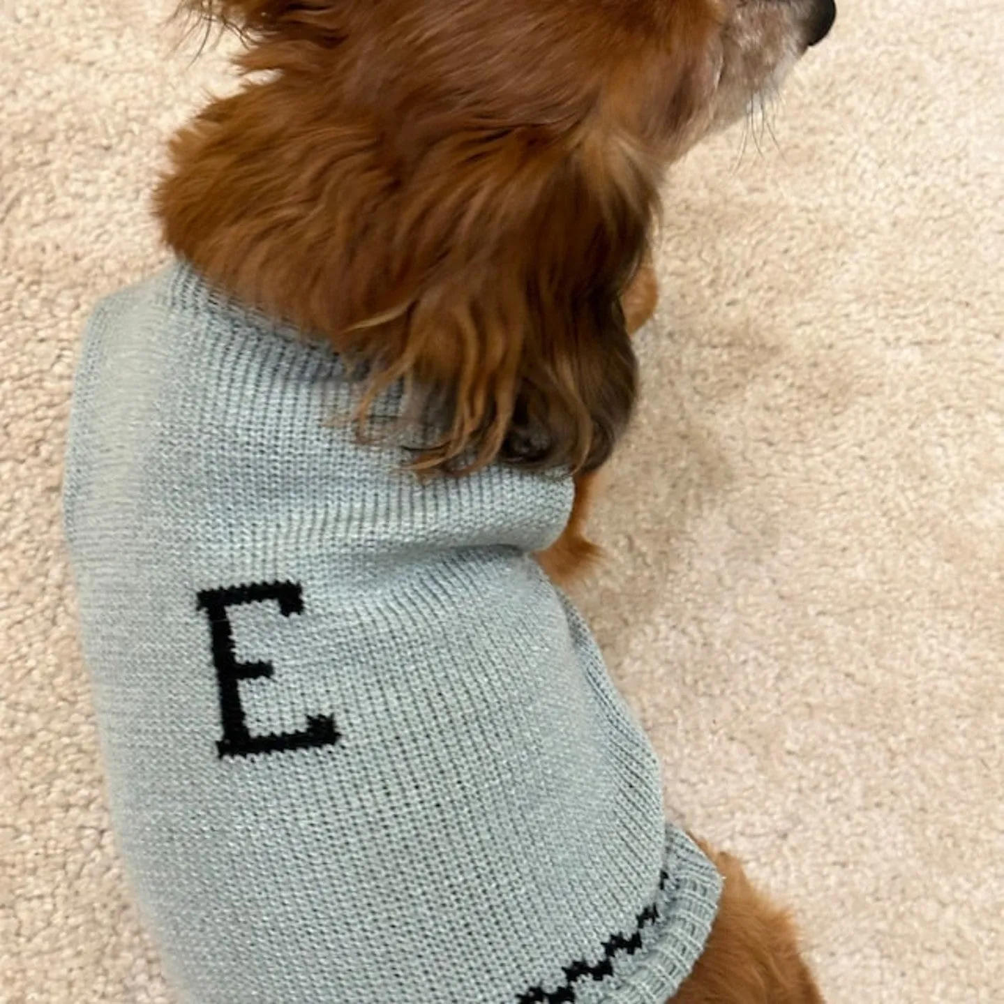 Monogram Dog Sweater in your choice of colors