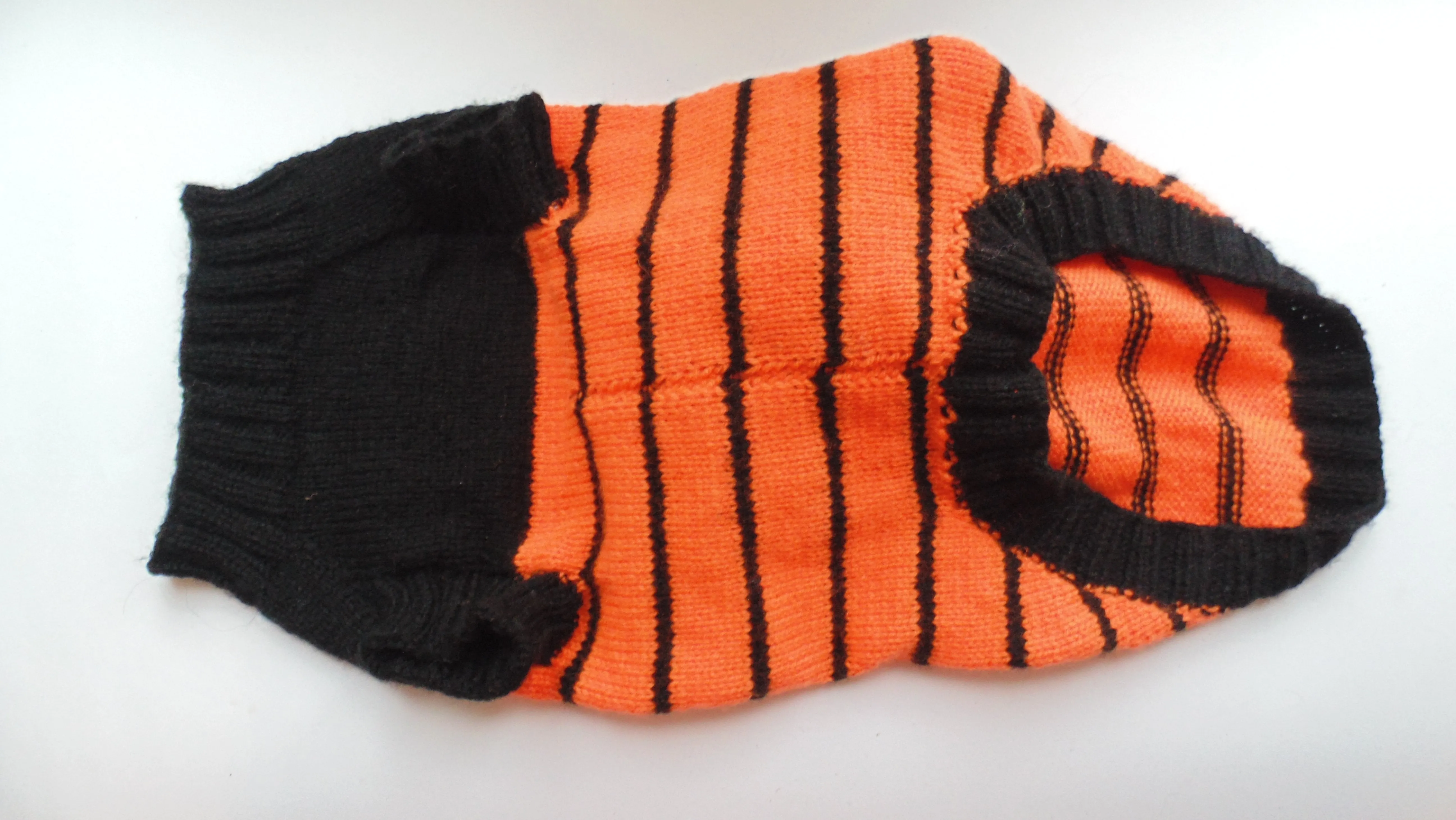 Orange Halloween Spider Sweater for Dachshund Dog