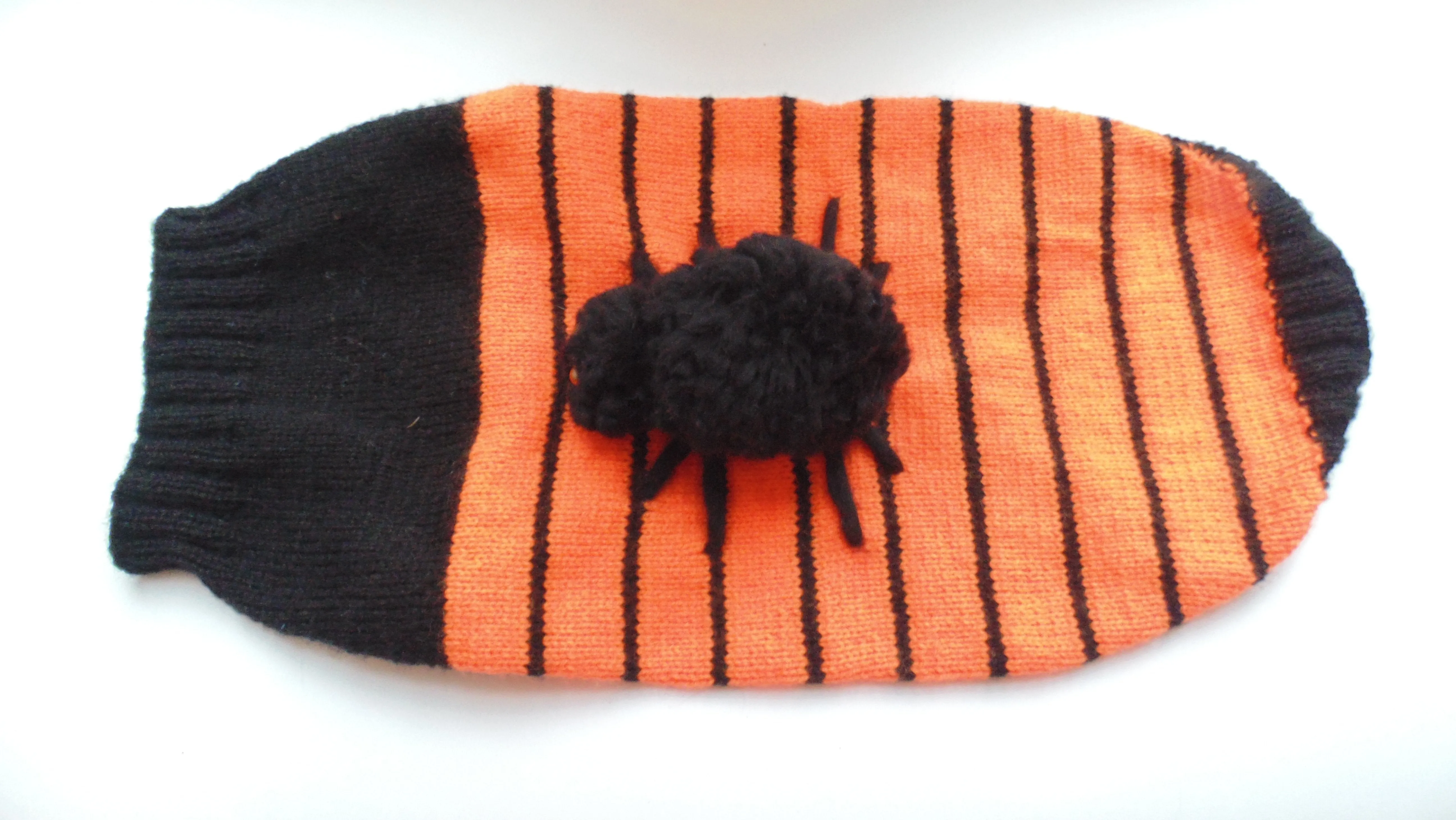 Orange Halloween Spider Sweater for Dachshund Dog