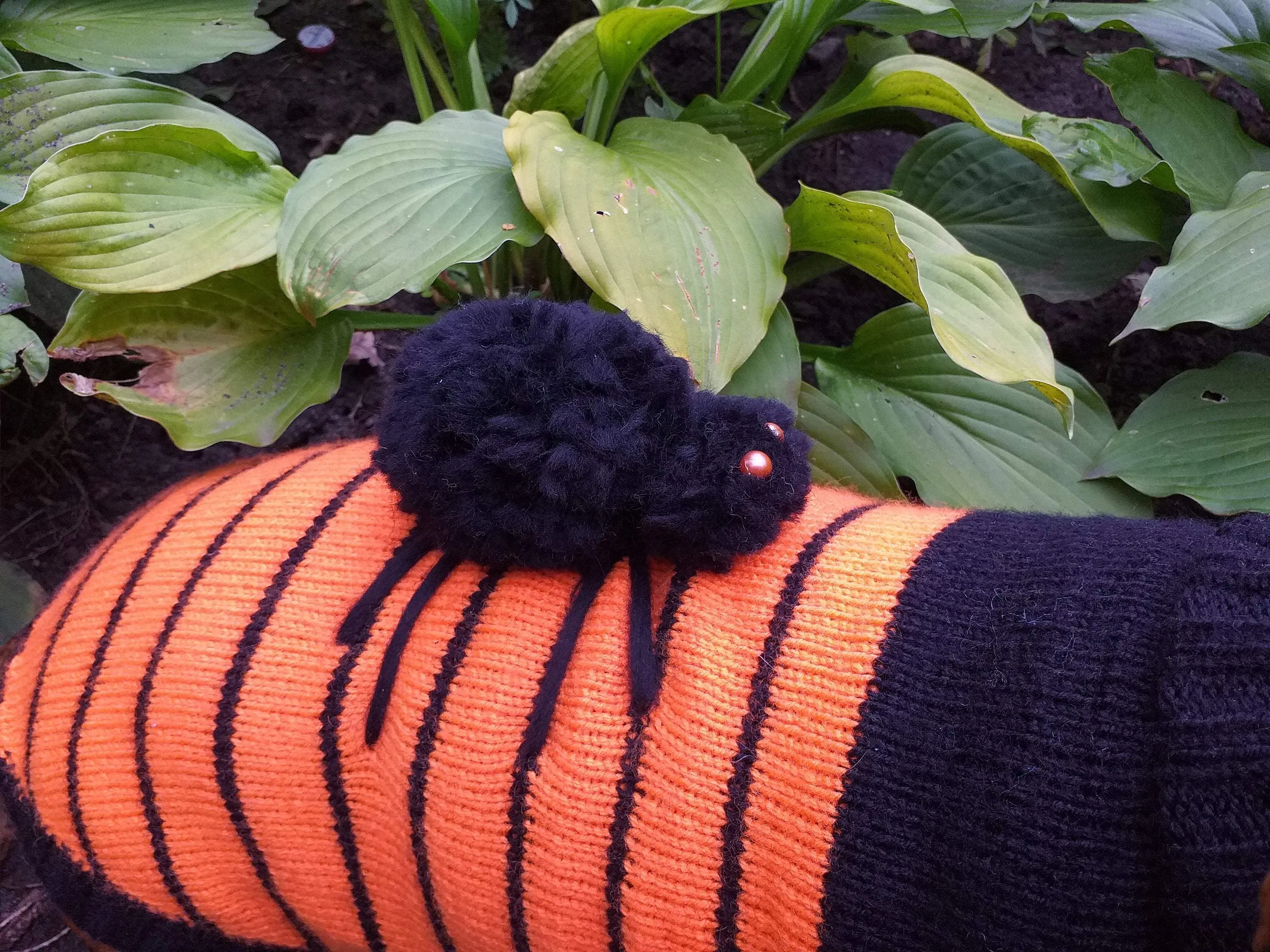 Orange Halloween Spider Sweater for Dachshund Dog