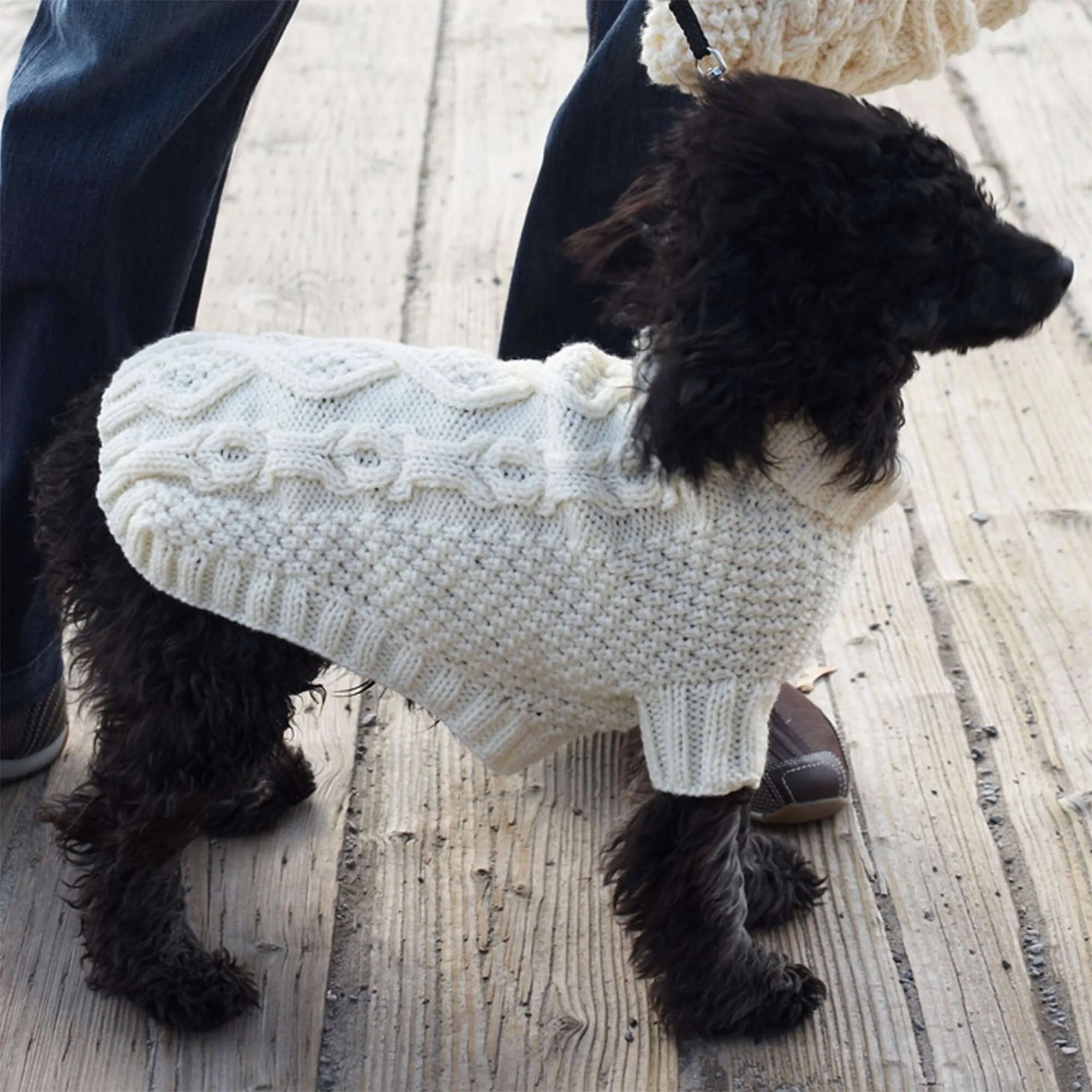 Patons Knit Biscuits & Bones Dog Coat