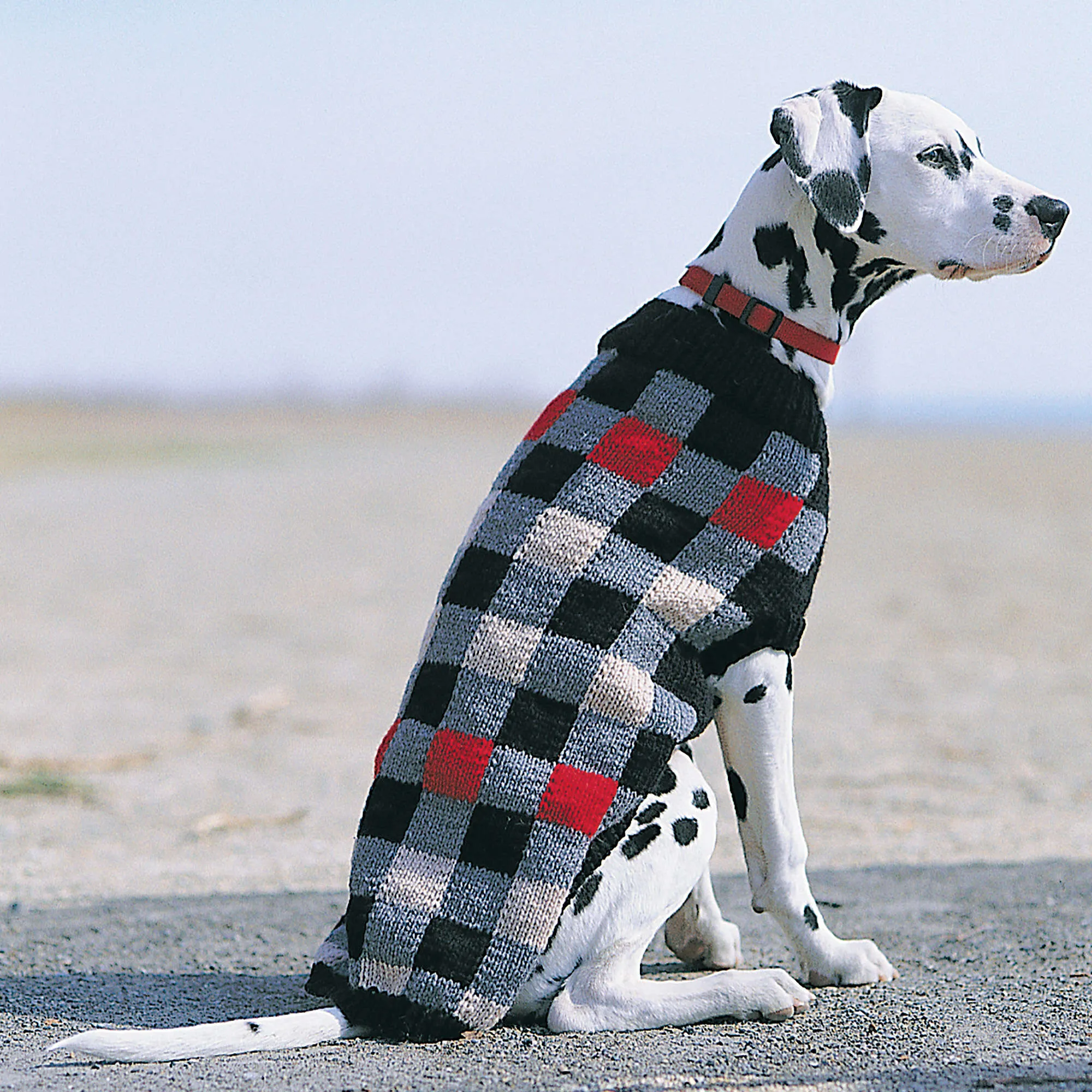 Patons Knit Canine Checks