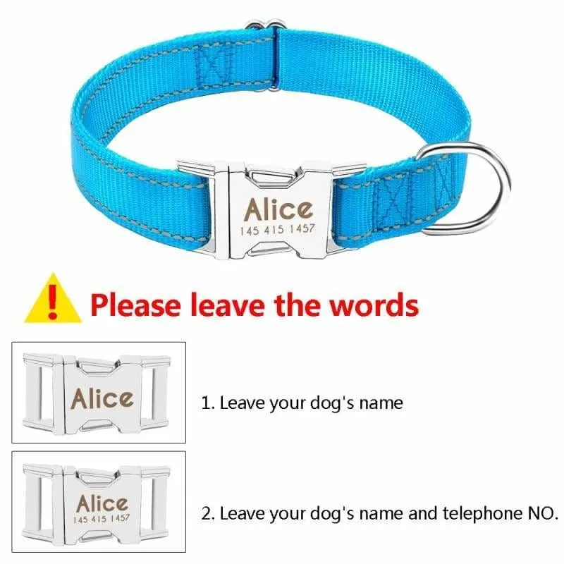 Personalized Dog Collar Just For You