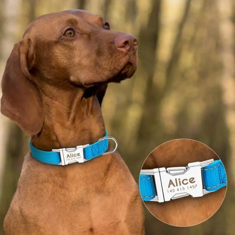 Personalized Dog Collar Just For You