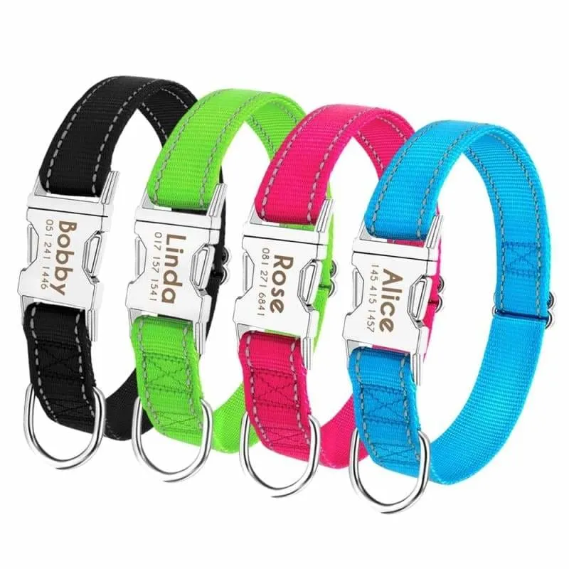 Personalized Dog Collar Just For You