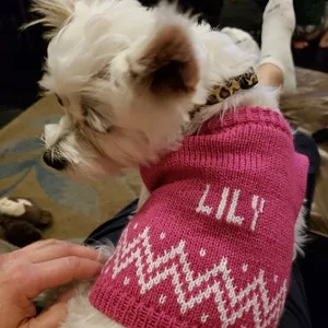 Personalized Dog Sweater with Chevron Trim in your choice of color