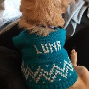 Personalized Dog Sweater with Chevron Trim in your choice of color