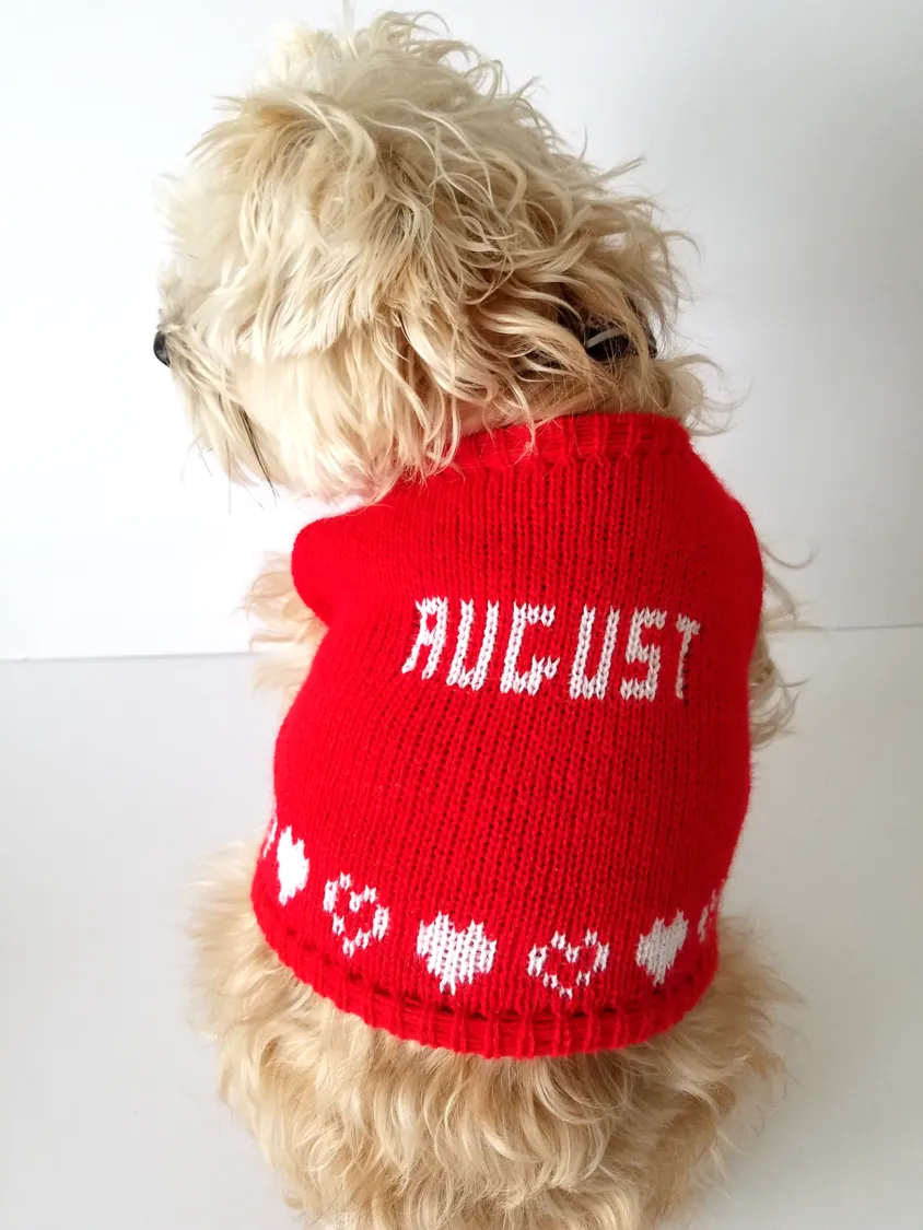 Personalized Dog Sweater with Hearts in your choice of color