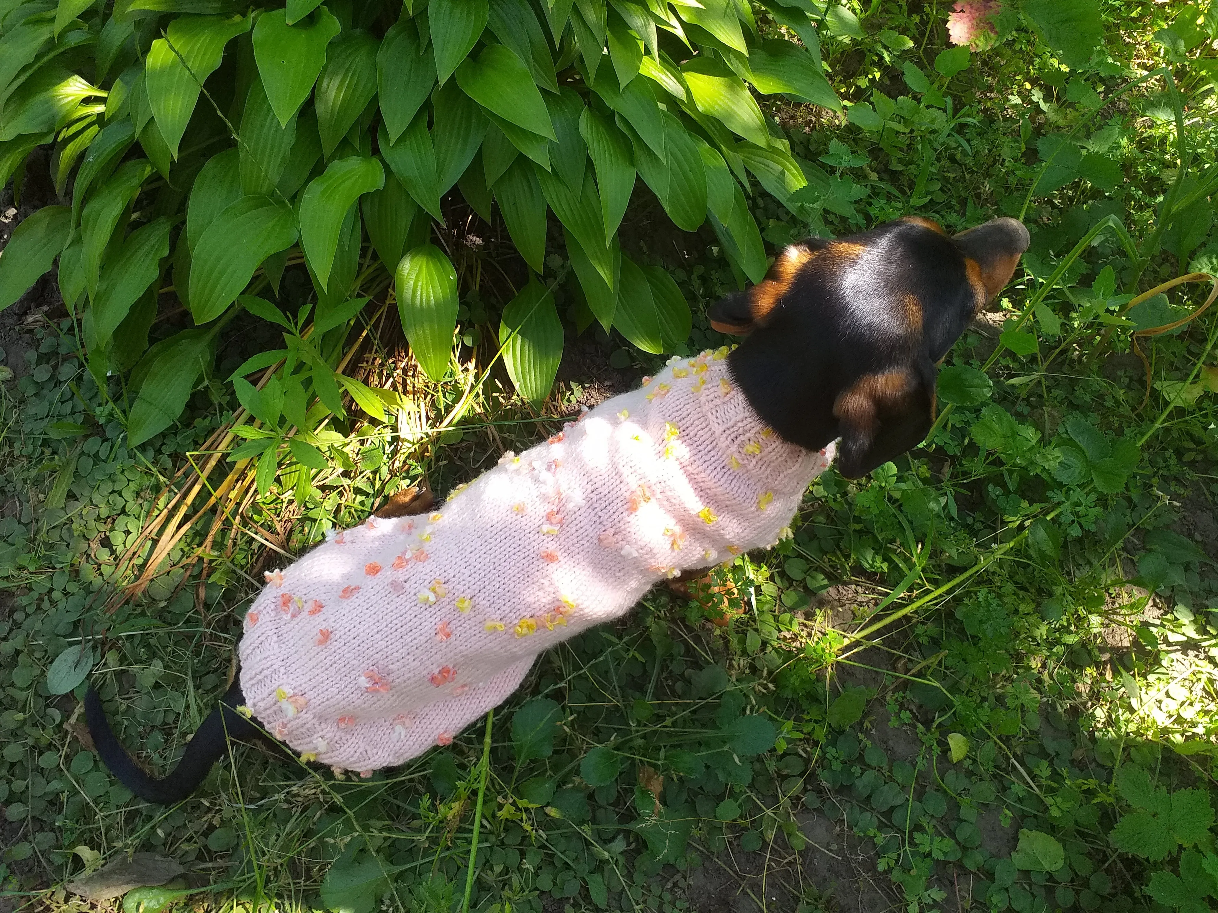 Pink Floral Mini Dachshund Jumper, Dog Coat, Clothes Dog Sweater