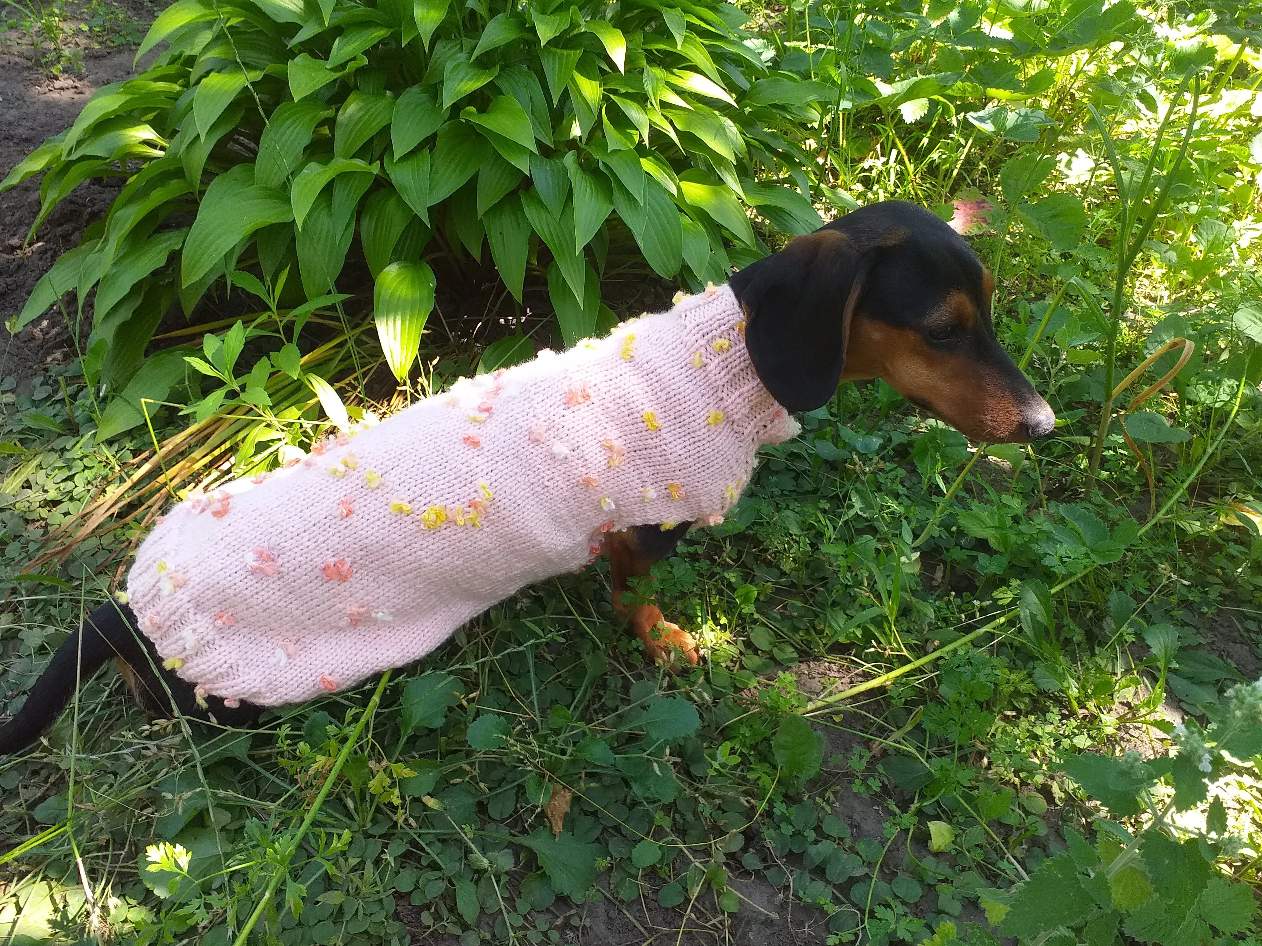 Pink Floral Mini Dachshund Jumper, Dog Coat, Clothes Dog Sweater