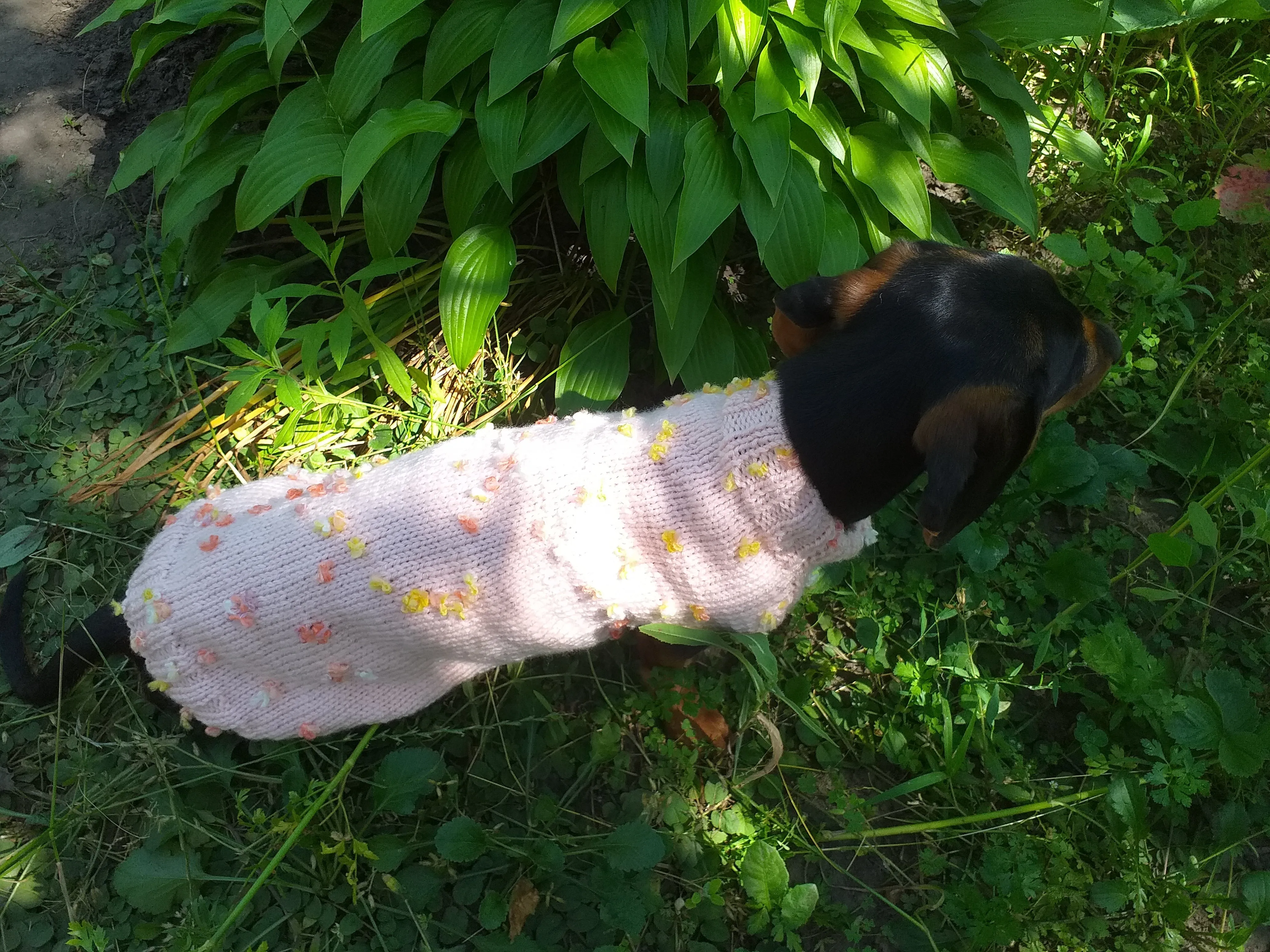 Pink Floral Mini Dachshund Jumper, Dog Coat, Clothes Dog Sweater