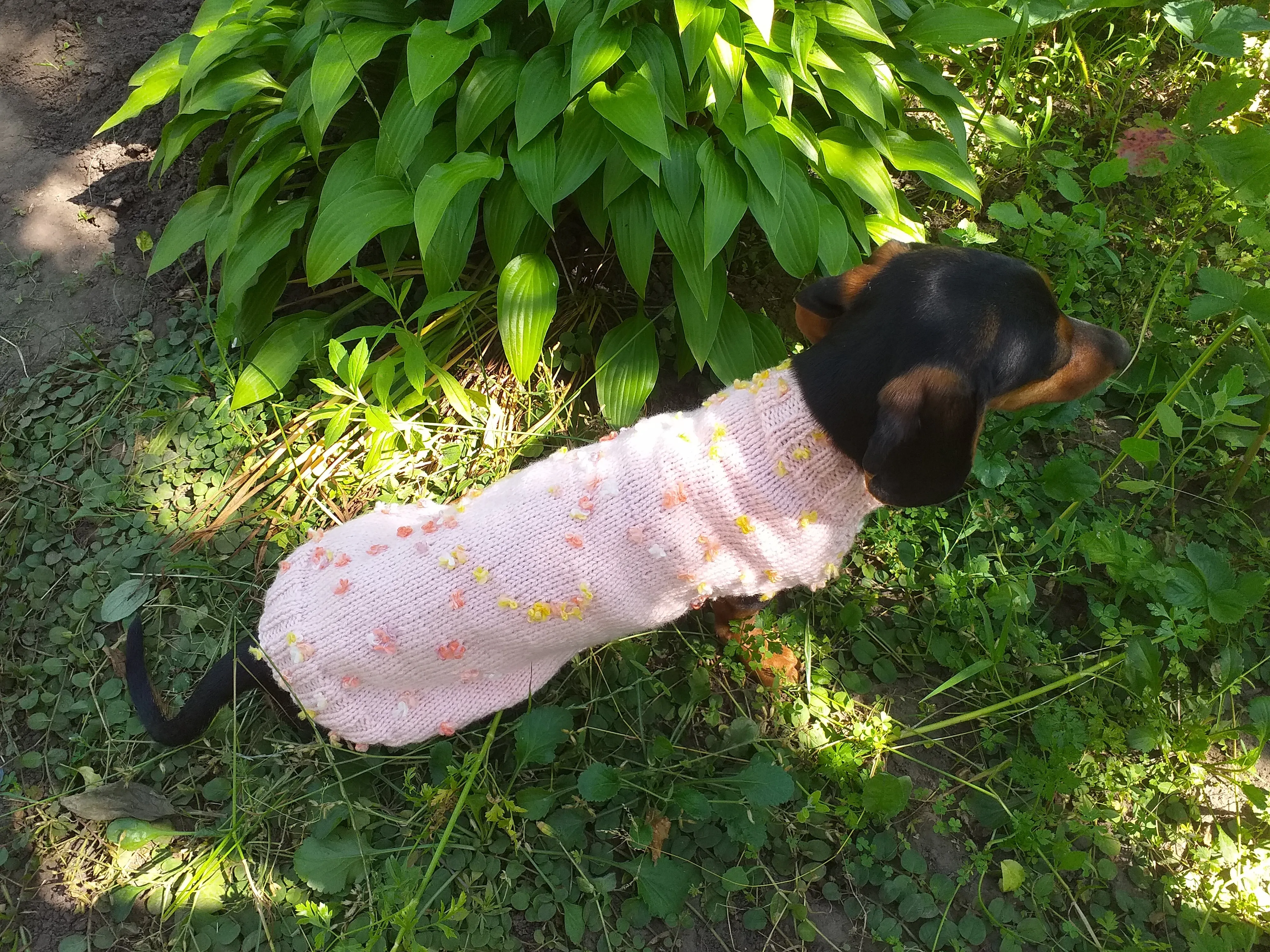 Pink Floral Mini Dachshund Jumper, Dog Coat, Clothes Dog Sweater