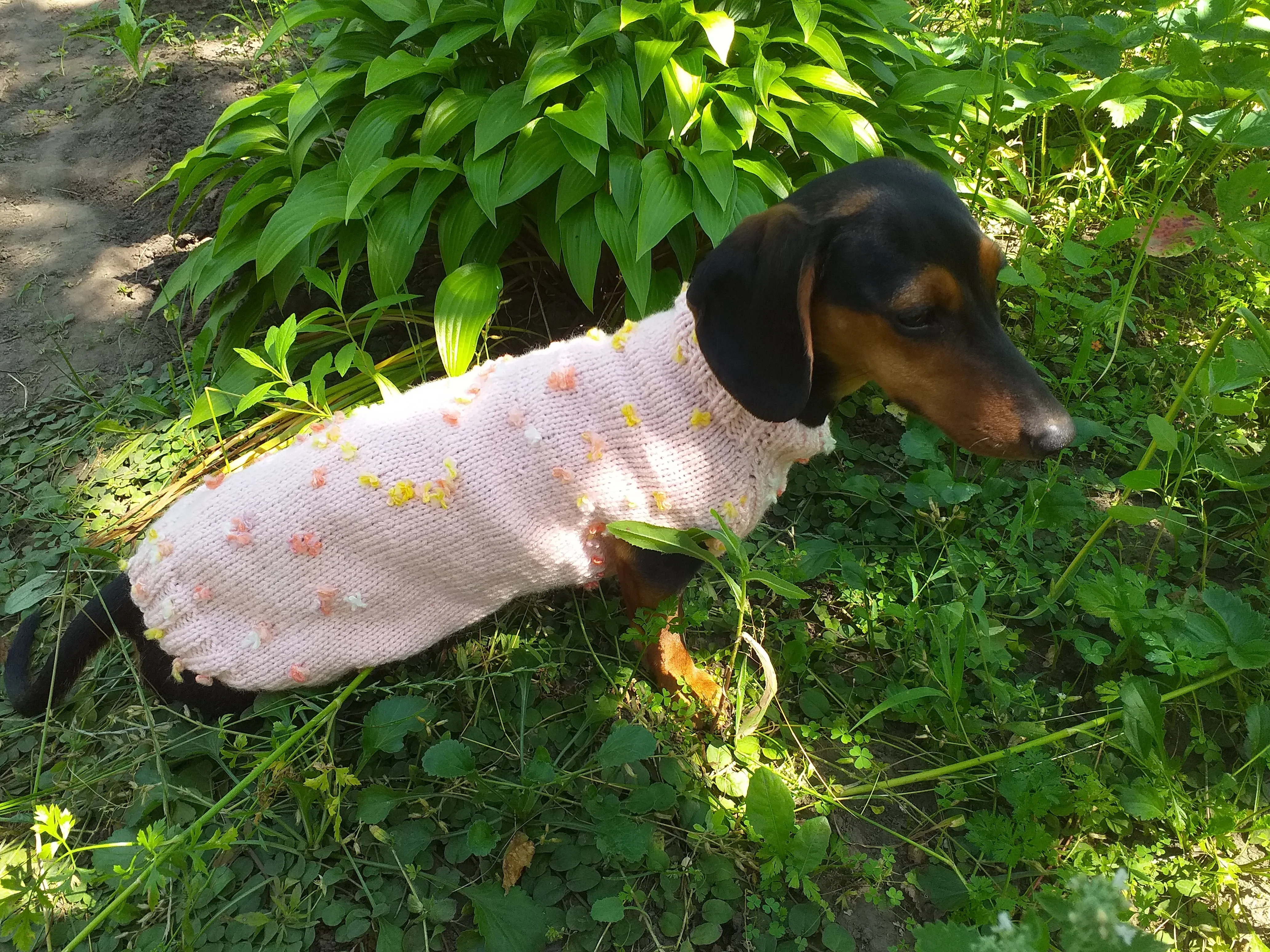 Pink Floral Mini Dachshund Jumper, Dog Coat, Clothes Dog Sweater