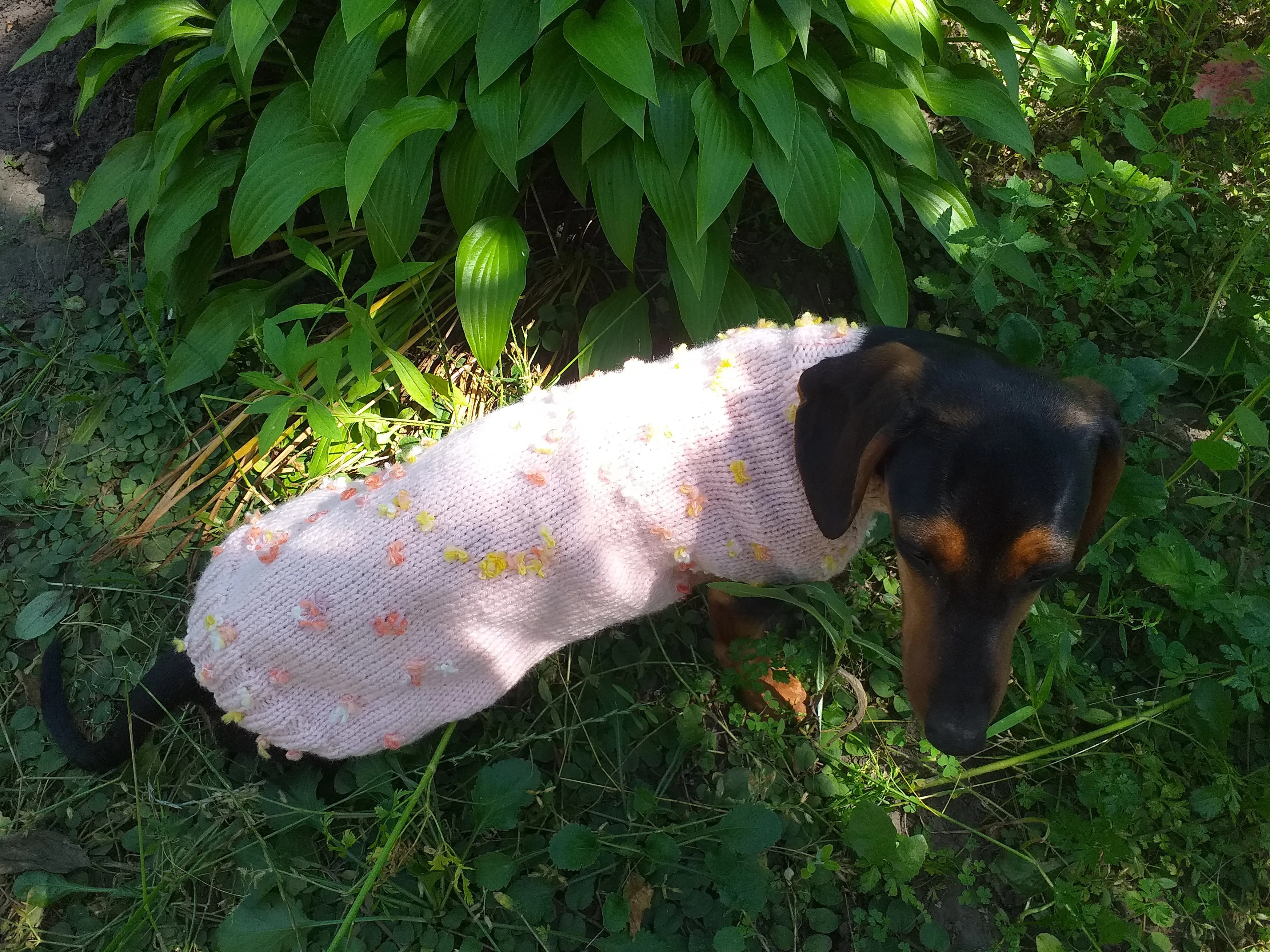 Pink Floral Mini Dachshund Jumper, Dog Coat, Clothes Dog Sweater