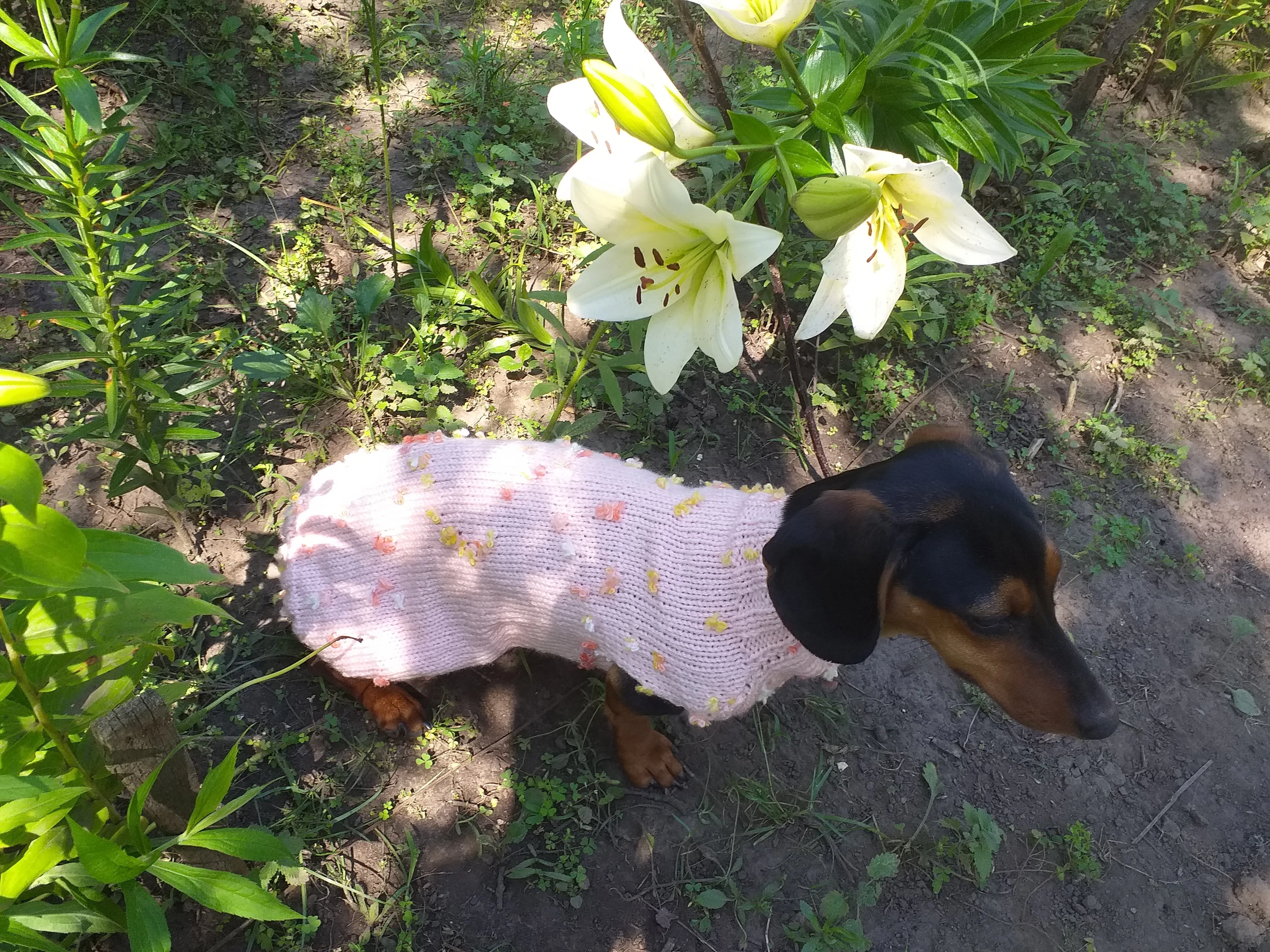 Pink Floral Mini Dachshund Jumper, Dog Coat, Clothes Dog Sweater