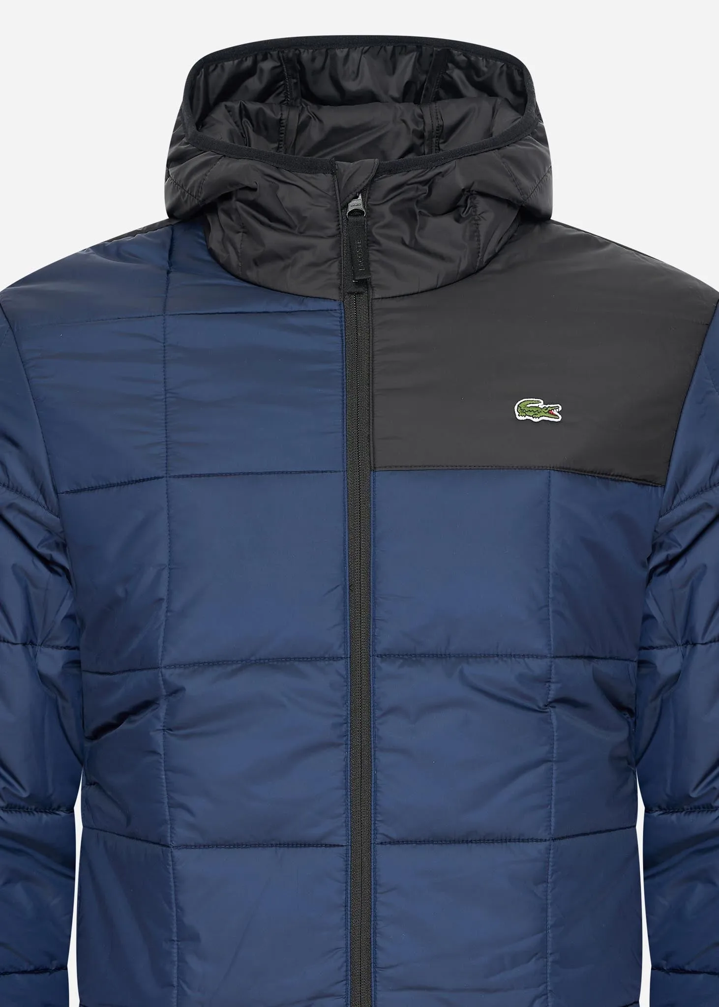 Puffer jacket - navy blue black