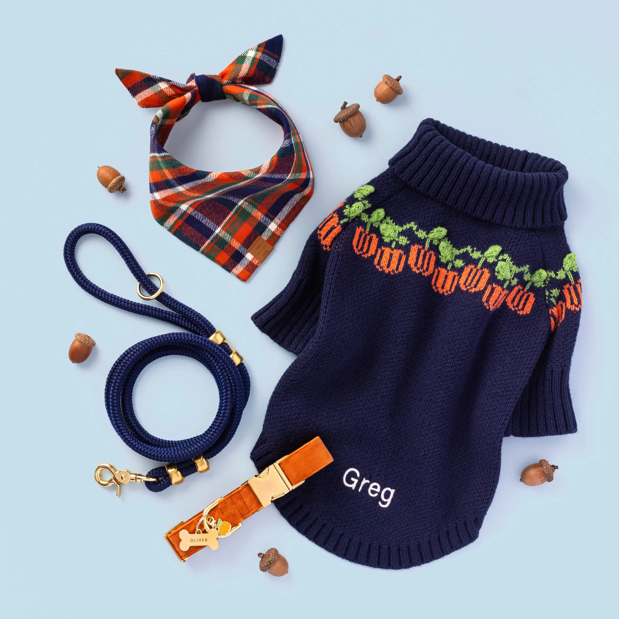 Pumpkin Patch Dog Sweater