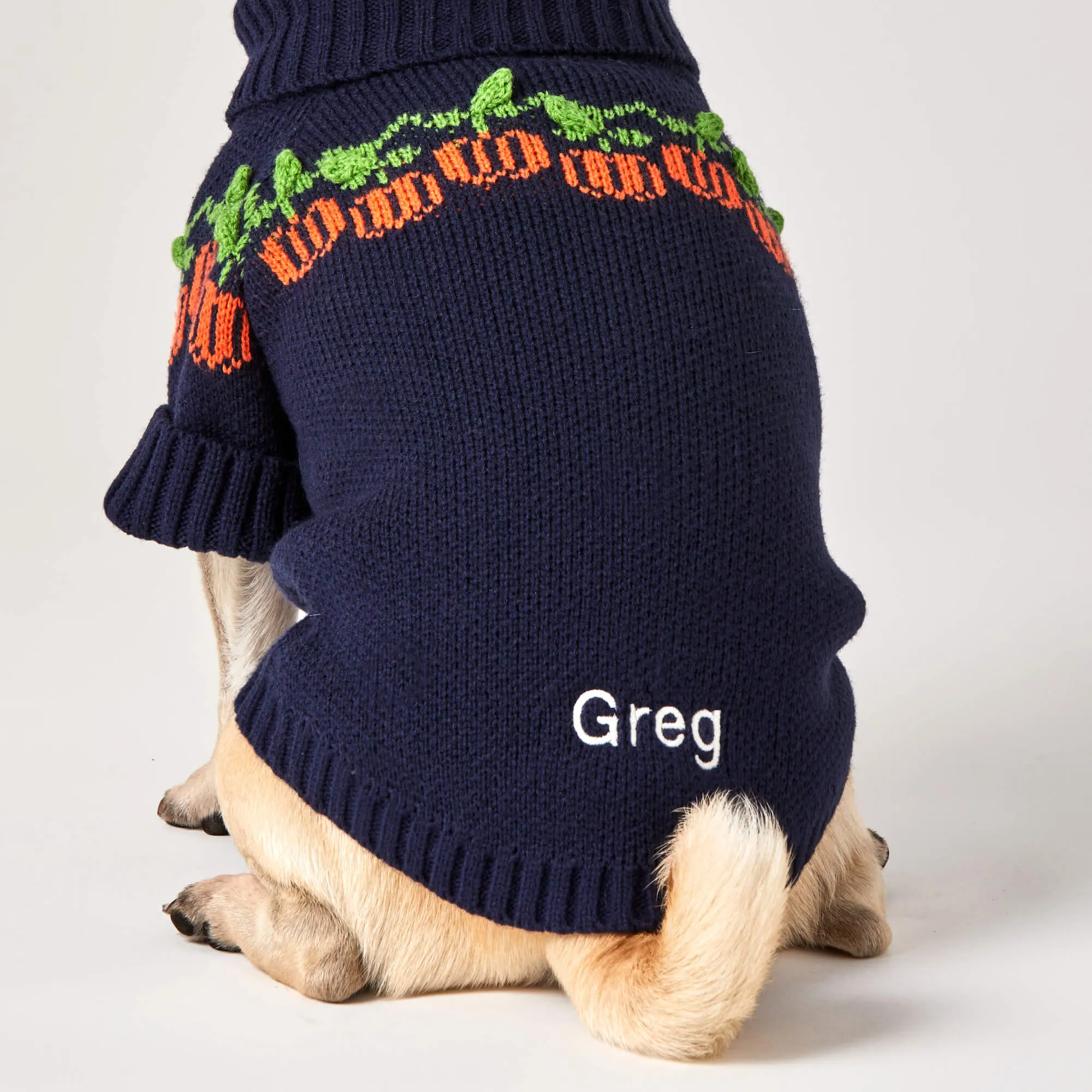 Pumpkin Patch Dog Sweater