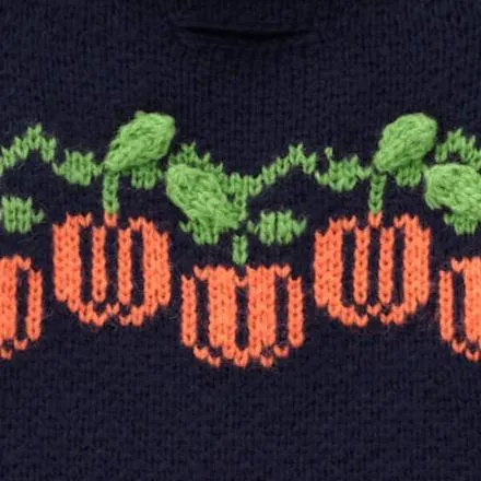 Pumpkin Patch Dog Sweater