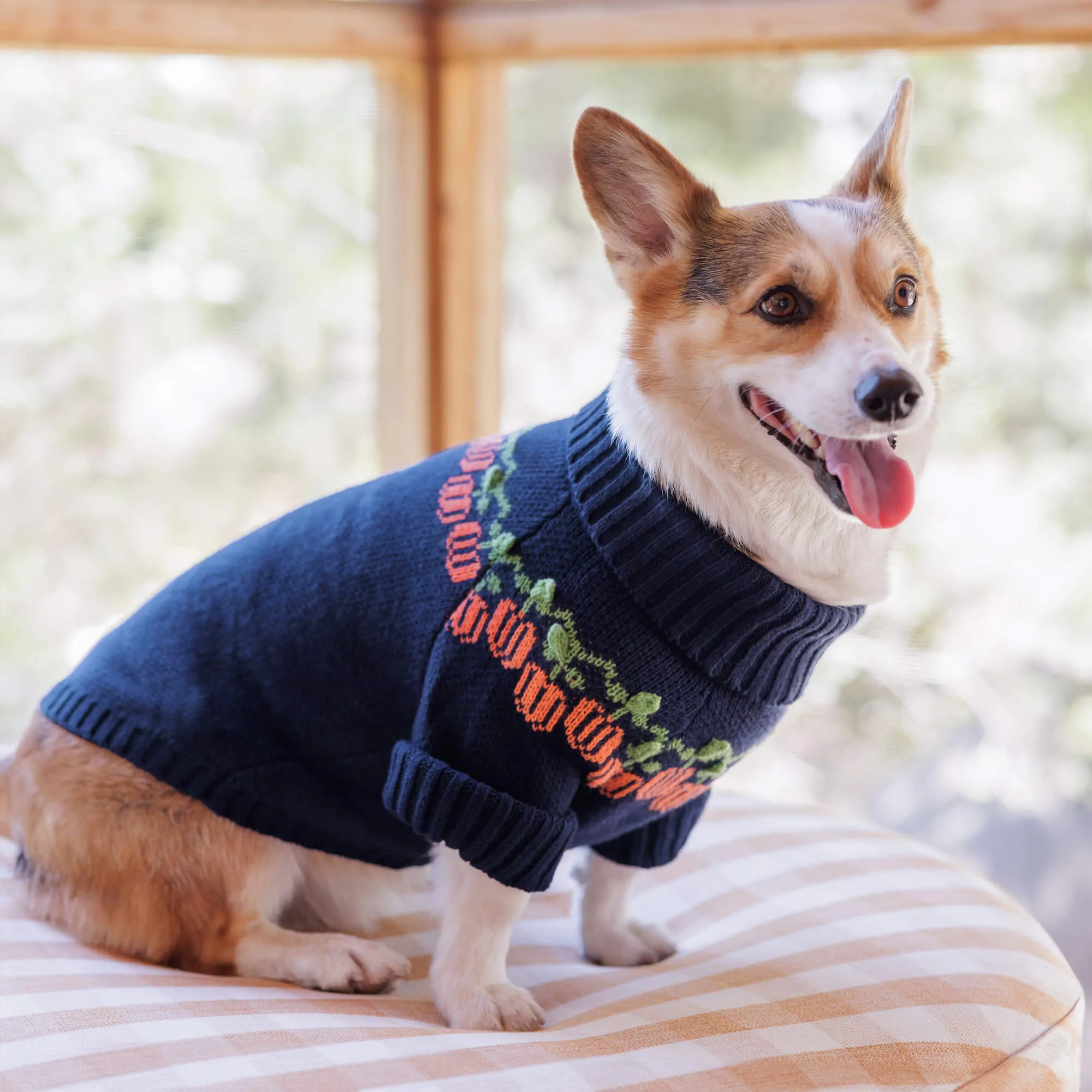 Pumpkin Patch Dog Sweater