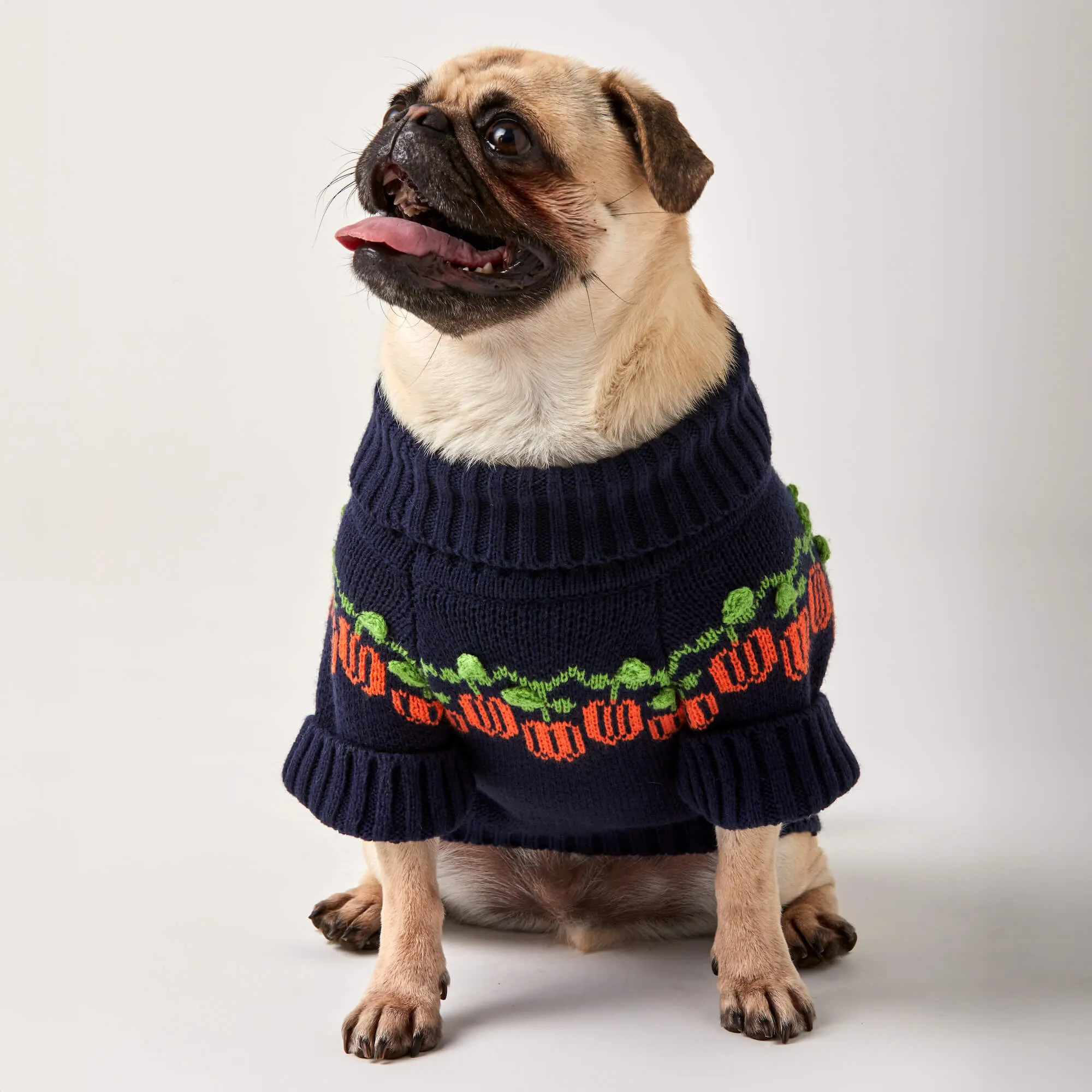 Pumpkin Patch Dog Sweater