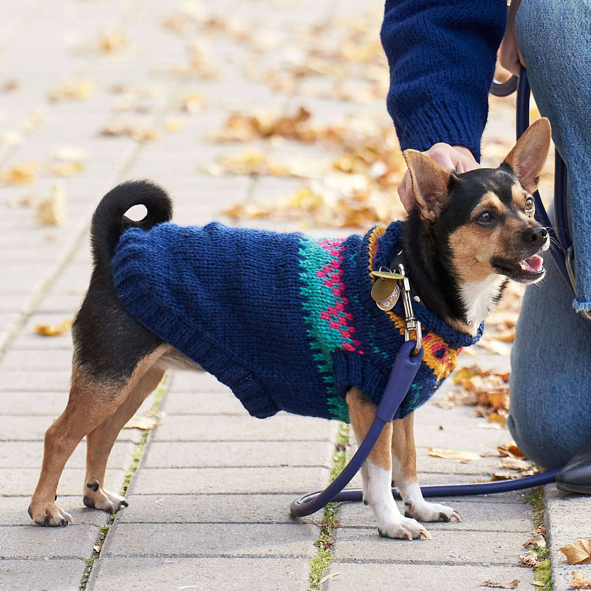 Red Heart Bestie Yoke Knit Dog Coat