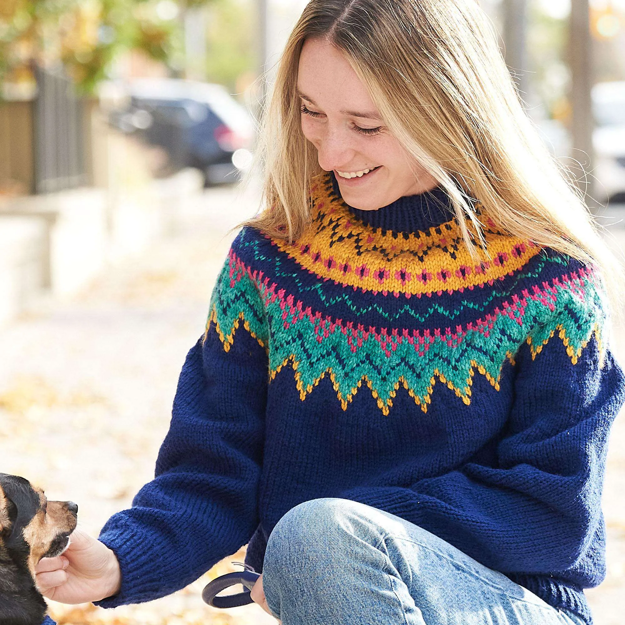 Red Heart Knit O'Go Adult Matching Yoke Sweater