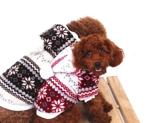 Snowflake Print Pet Dog Clothes Winter Coat with Hood