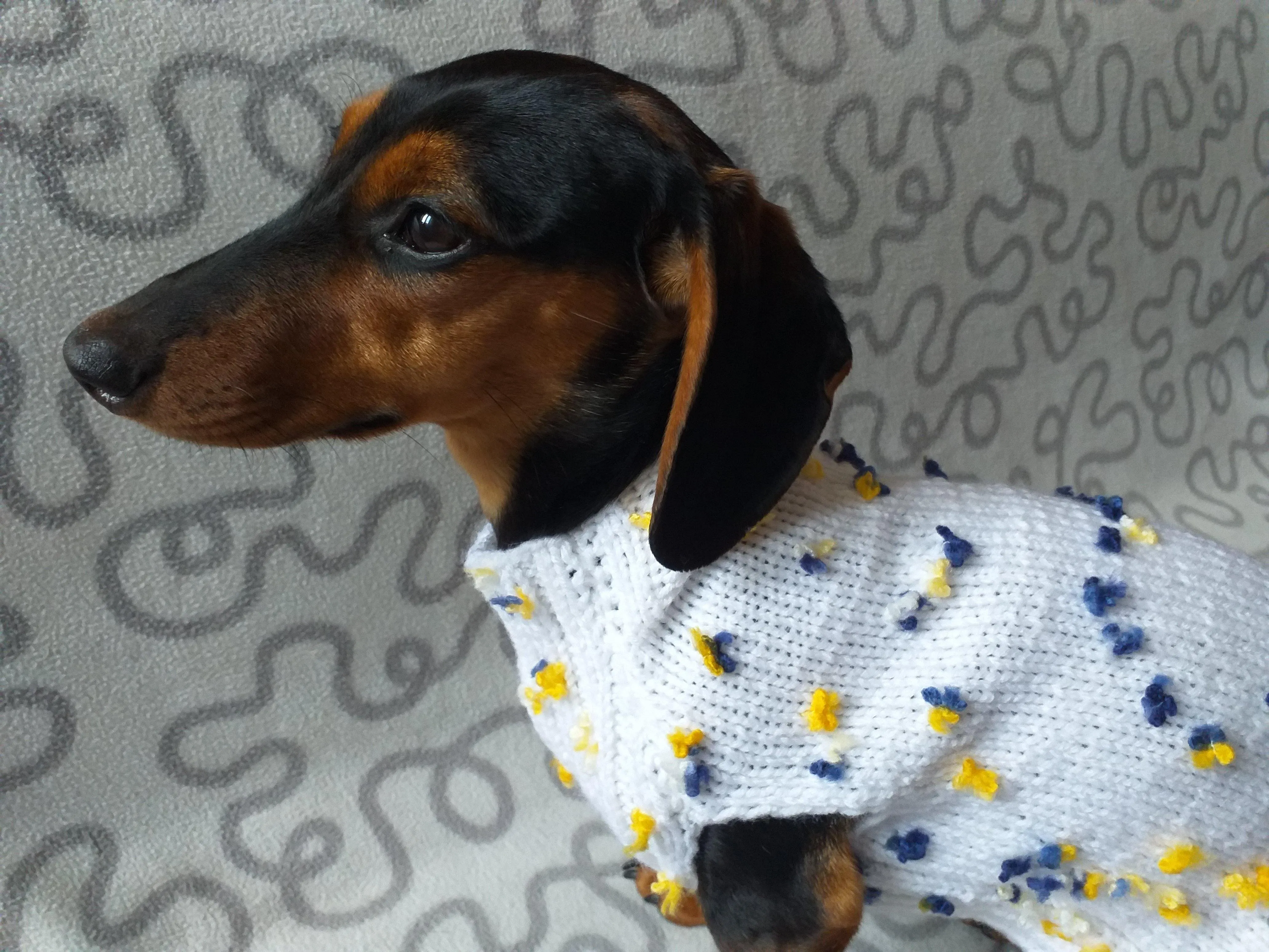 White Floral Mini Dachshund Jumper, Dog Coat, Clothes Dog Sweater