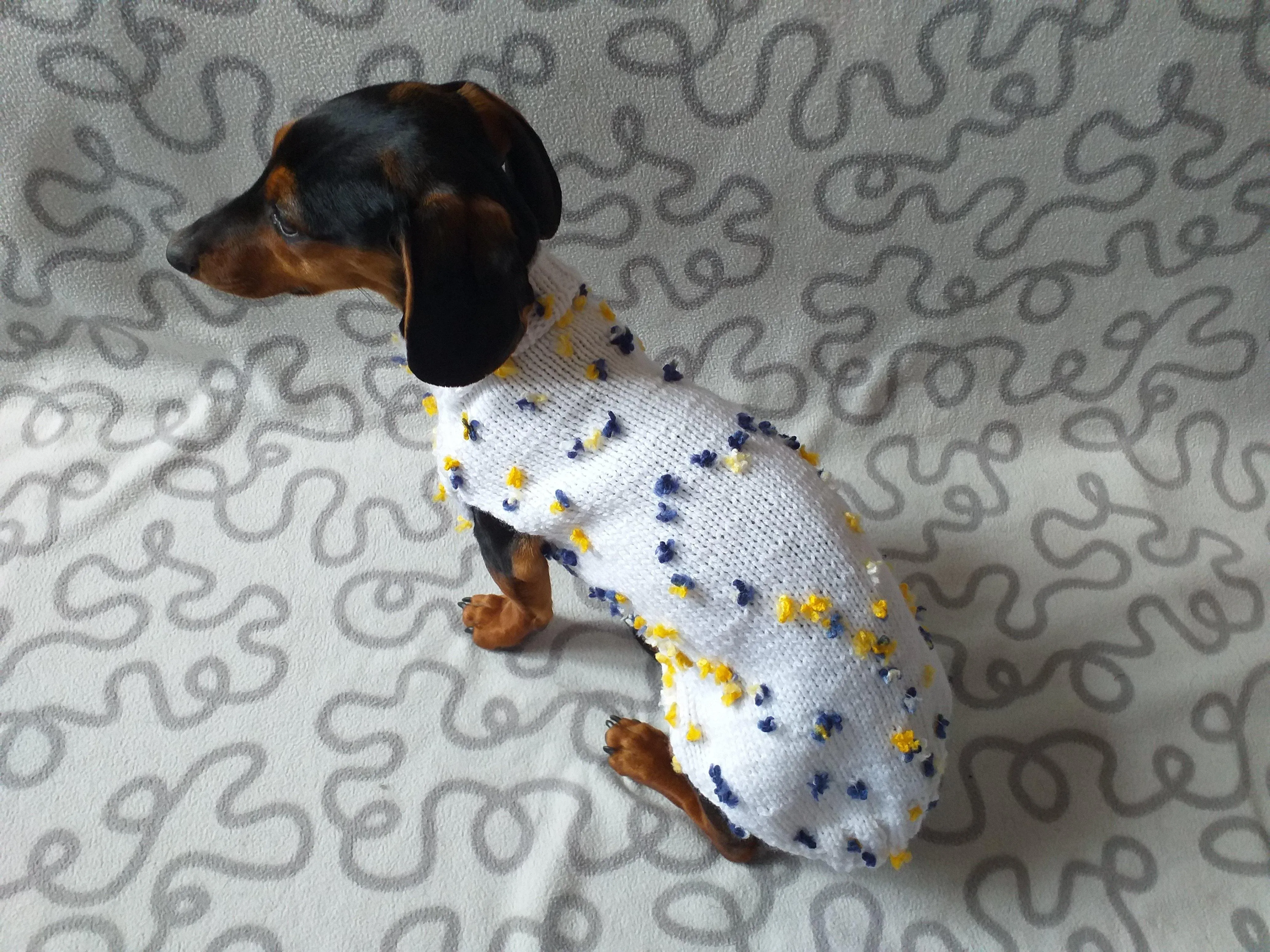 White Floral Mini Dachshund Jumper, Dog Coat, Clothes Dog Sweater