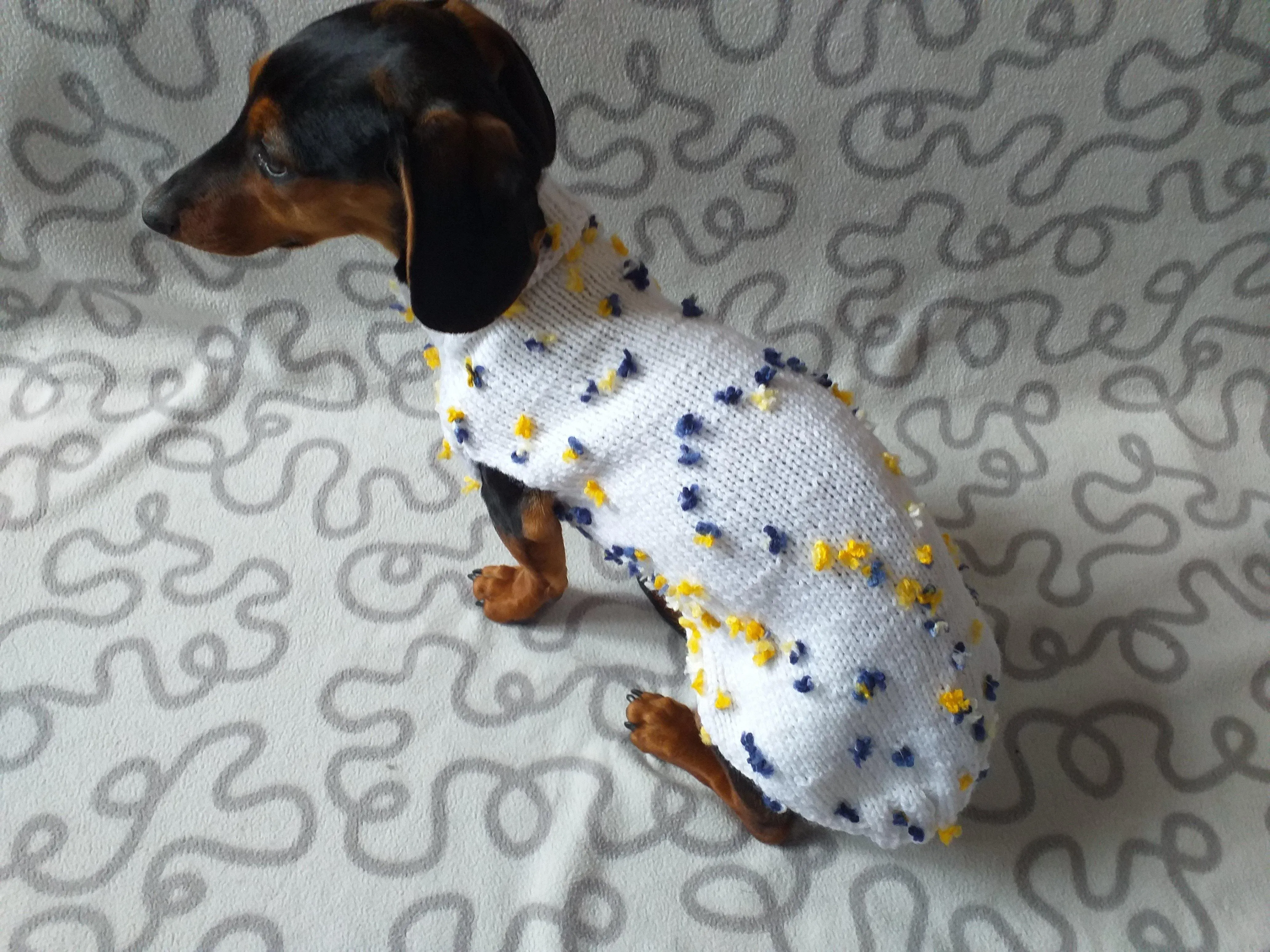 White Floral Mini Dachshund Jumper, Dog Coat, Clothes Dog Sweater